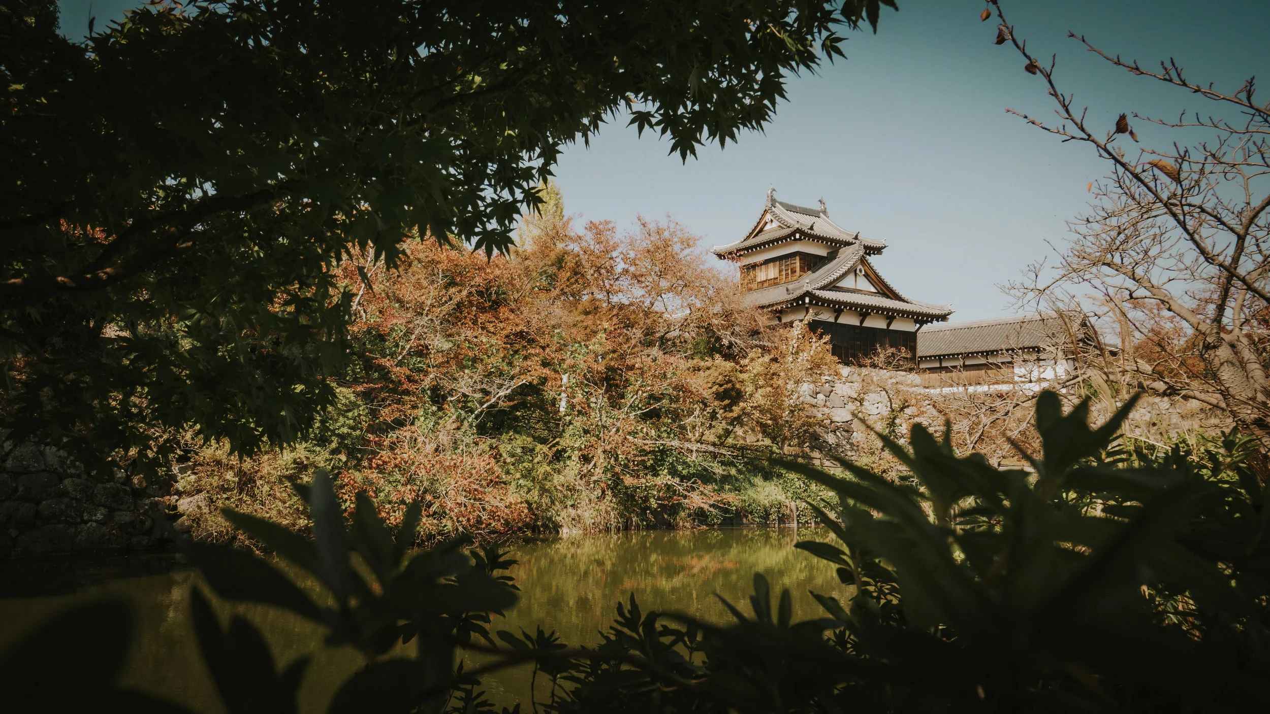 polywander-what-to-do-in-nara-japan-on-a-budget (13).jpeg