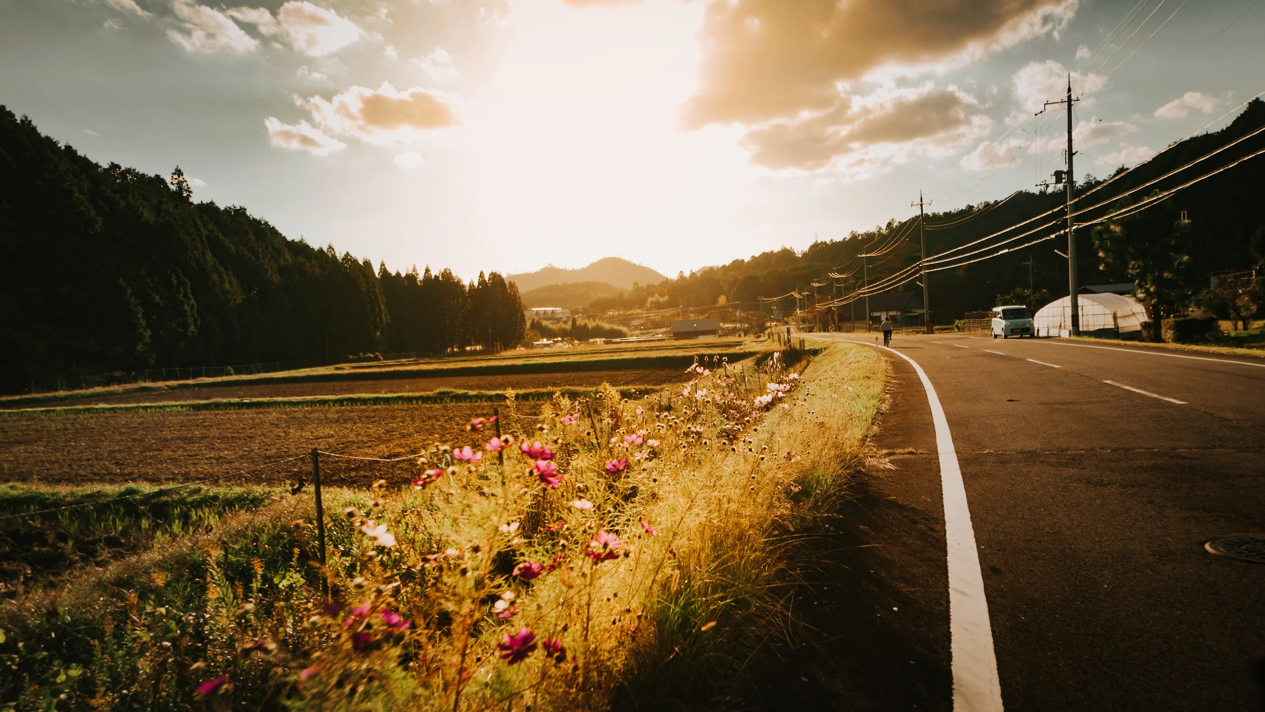 polywander-what-to-do-in-keihoku-japan-must-see (14).jpeg
