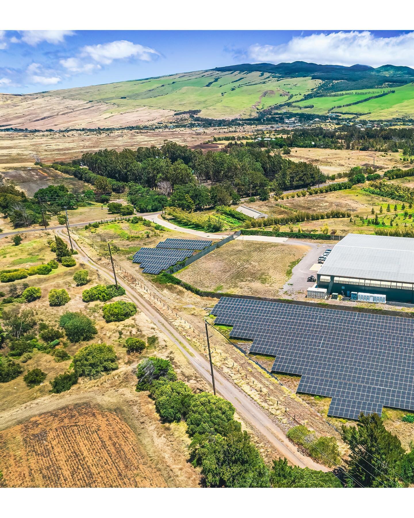 🌞 News from Hawaiian Ethos Farm!

Friends, we are thrilled to announce a major milestone in our journey towards sustainability. This year, Hawaiian Ethos&rsquo; large scale solar array came online, making our dream of a 100% sun powered farm a reali