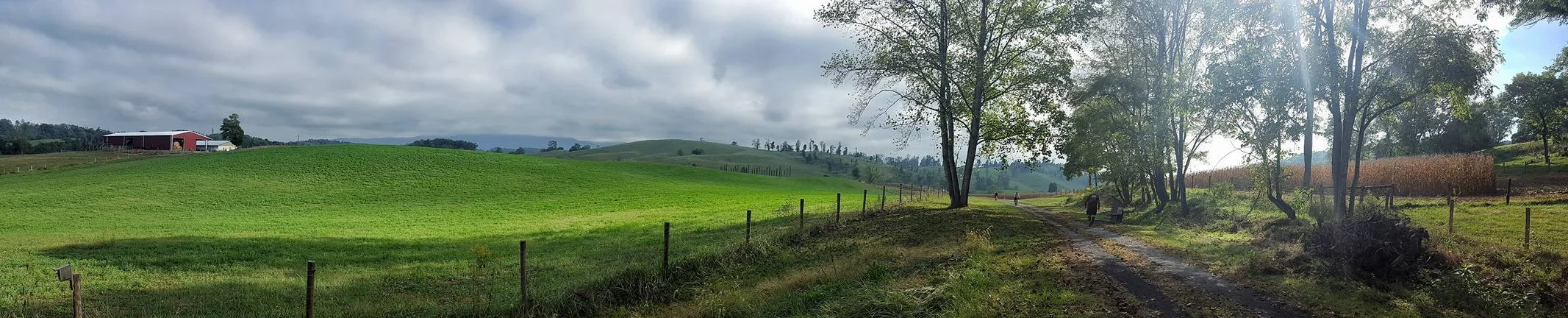 Yeti 100 View