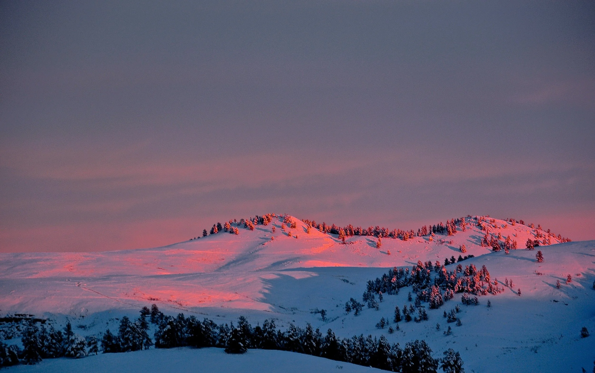 DSC_1165.jpg