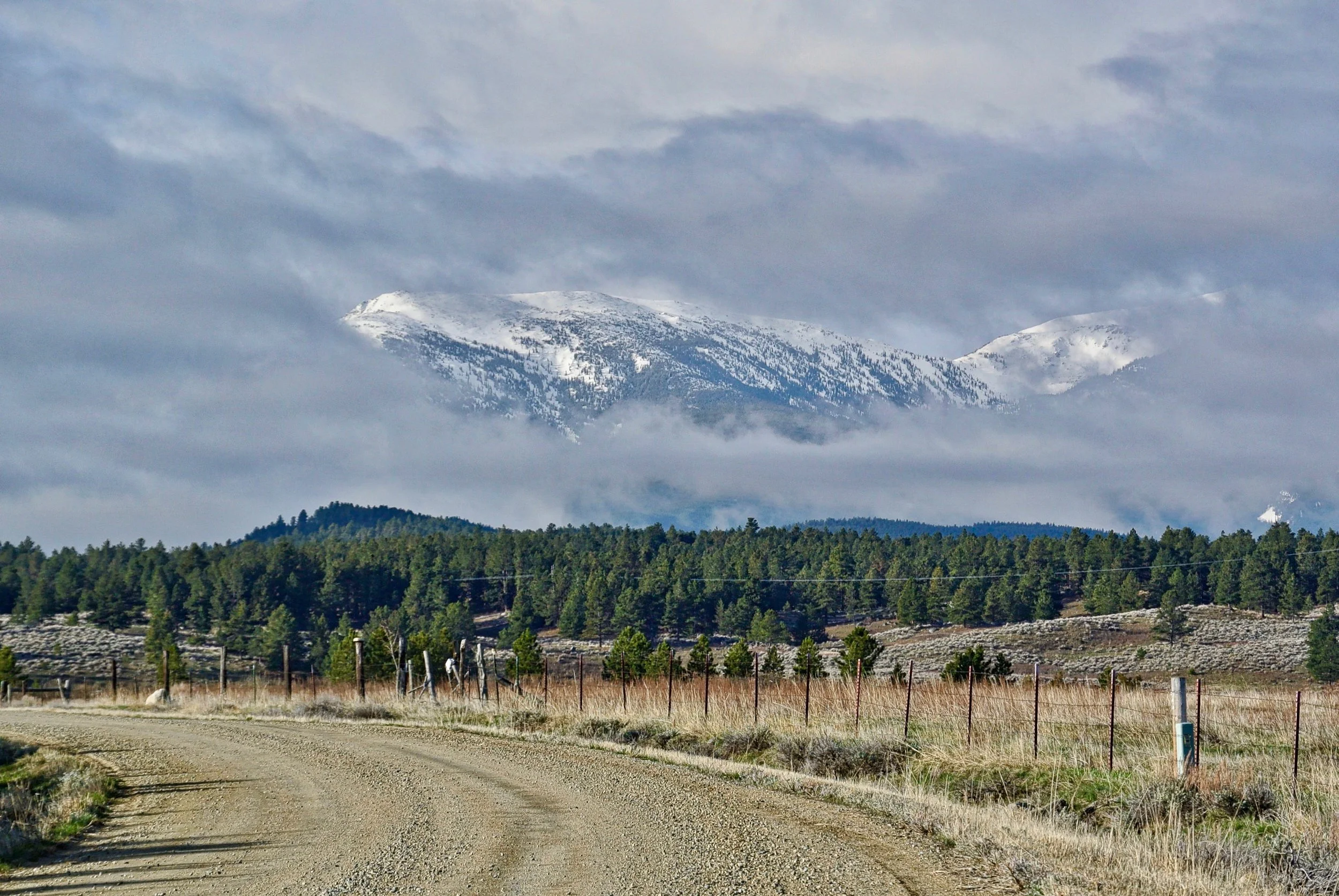 DSC_4235.jpg