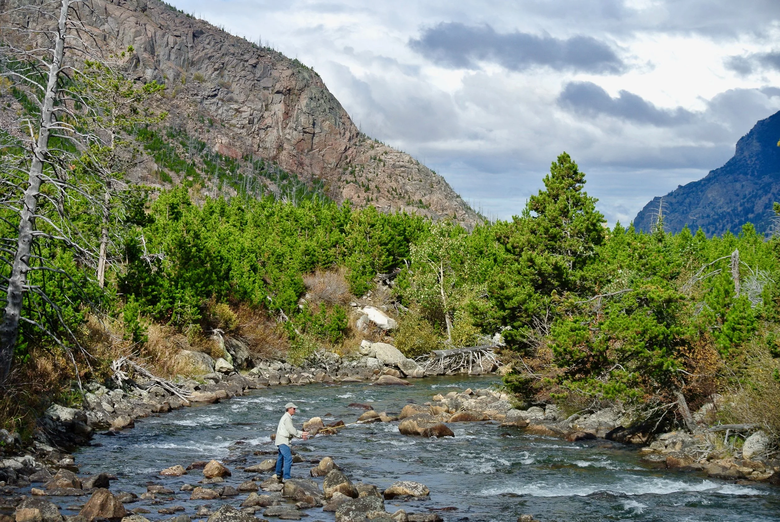 DSC_3454.jpg
