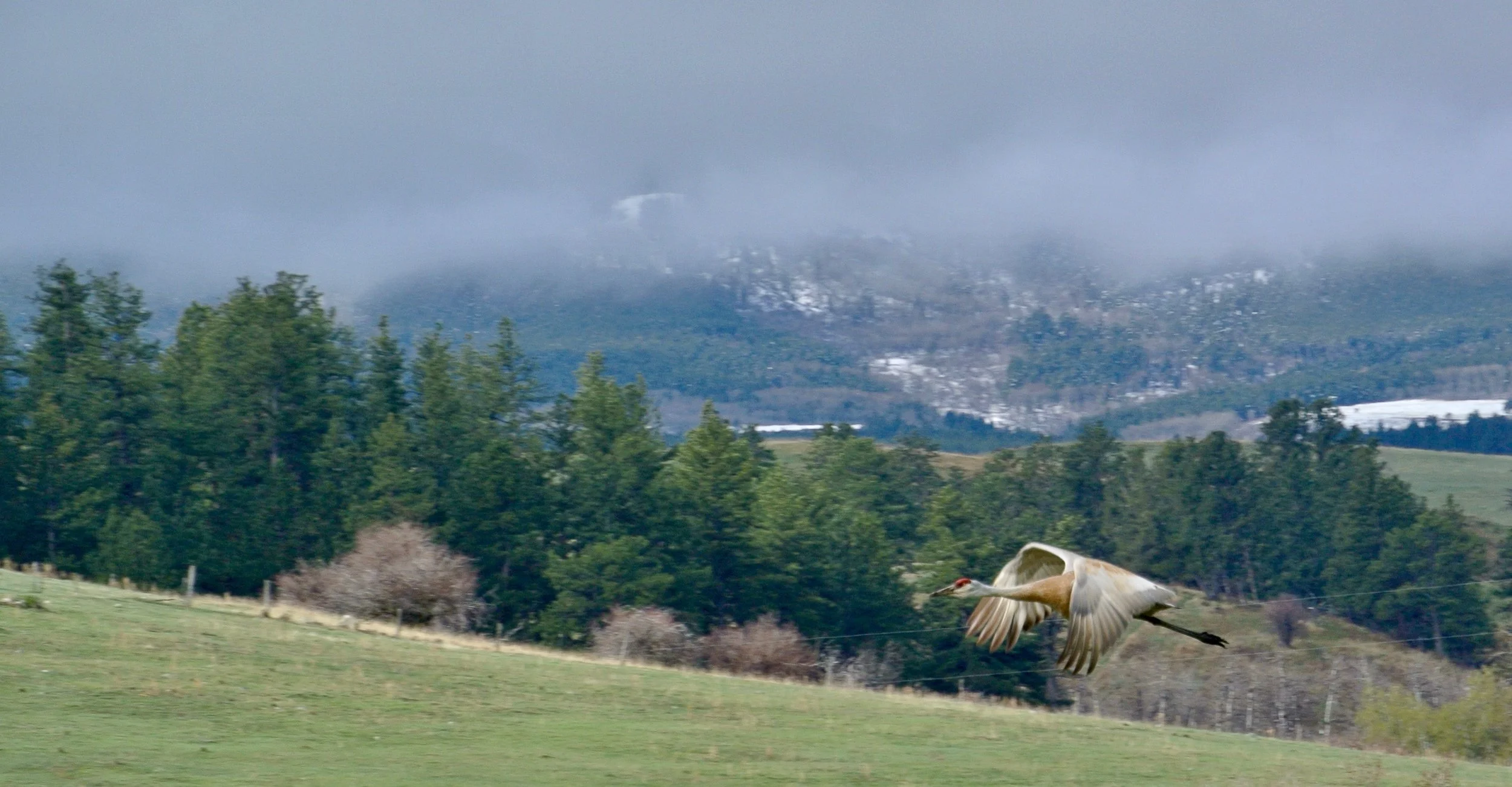 DSC_4429.jpg