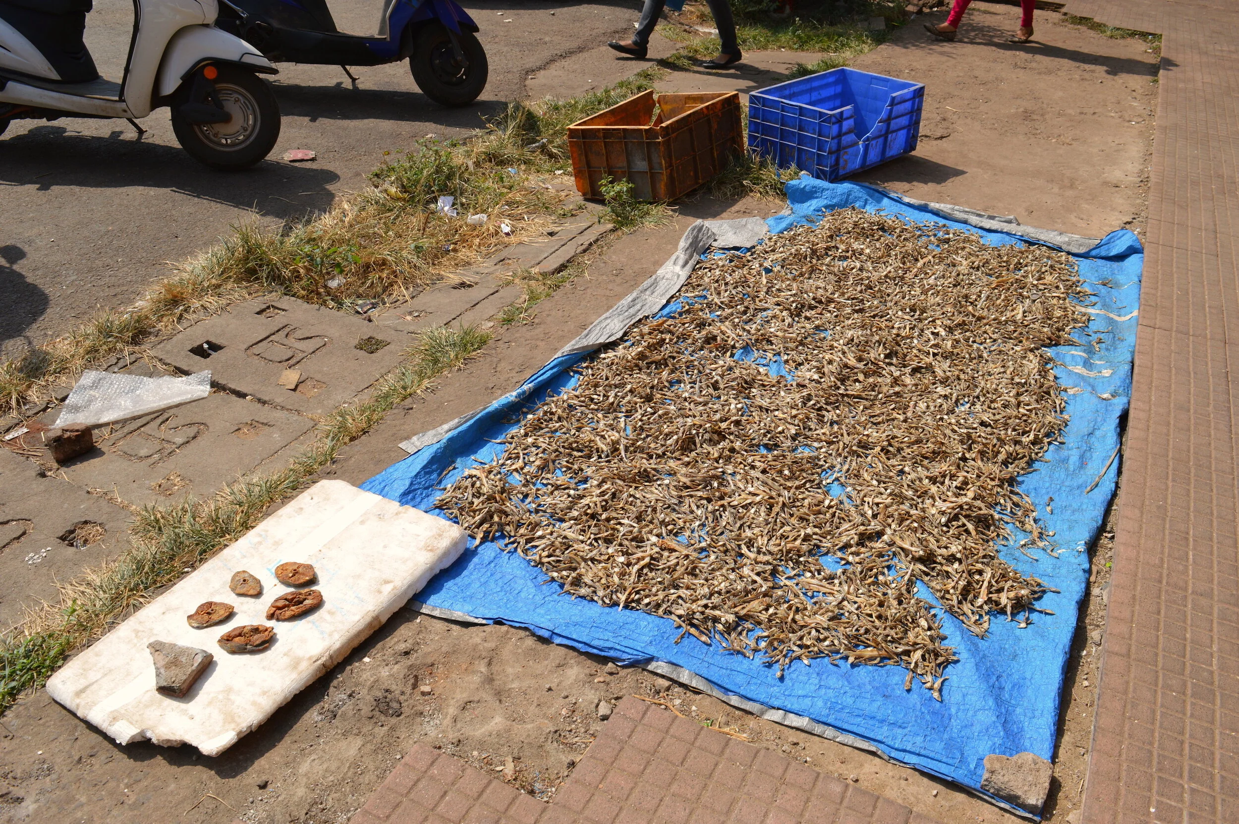  新鮮な魚の他に、魚の乾物のみを売るエリアもある。外では、魚の切り身と煮干しのような小魚が天日干しされていた。 