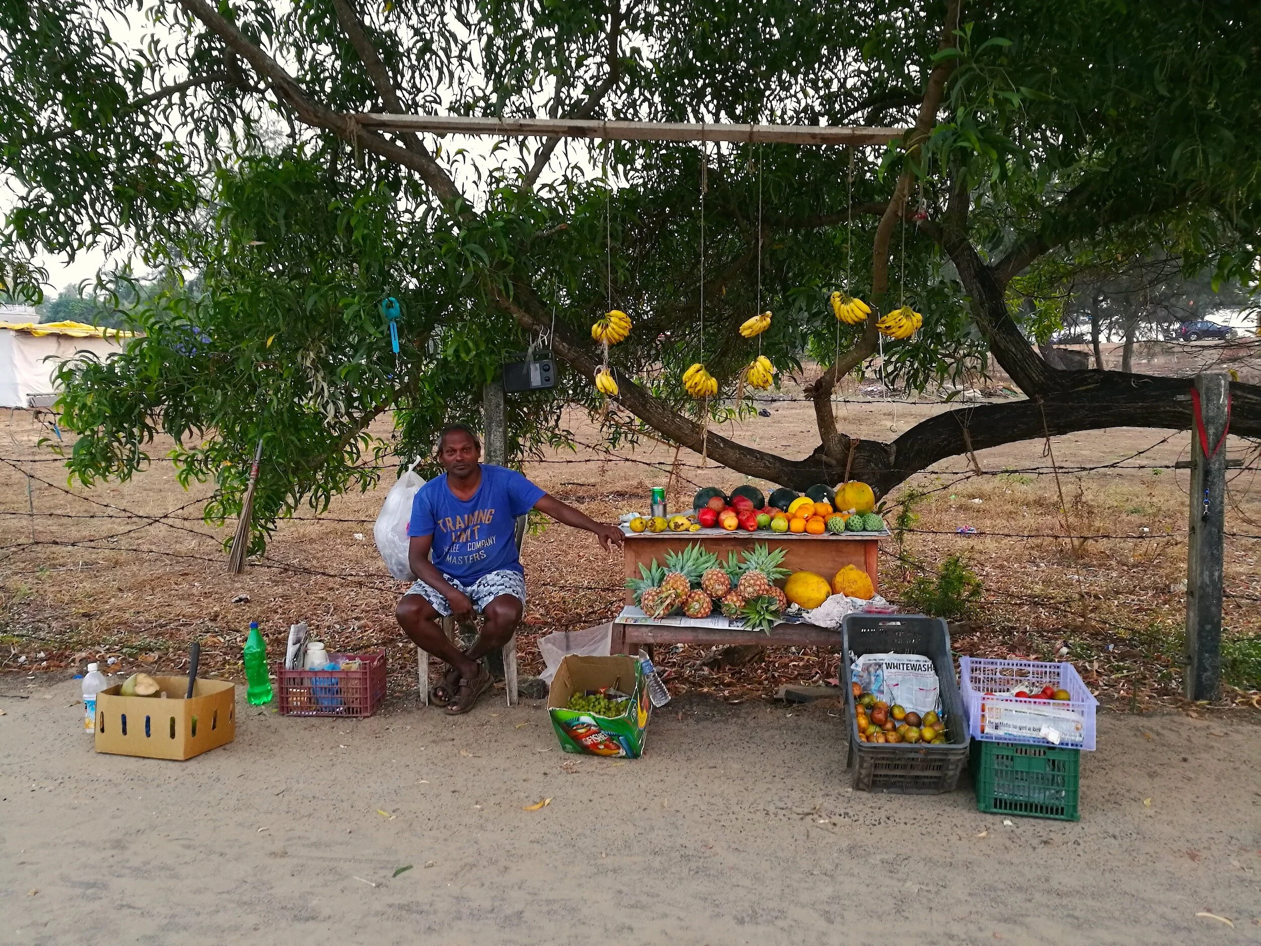  ビーチへと続く道で毎日果物を売っていた男性。何回か通っていたら、食べごろのものや、お勧めできない果物を教えてくれるようになった。 