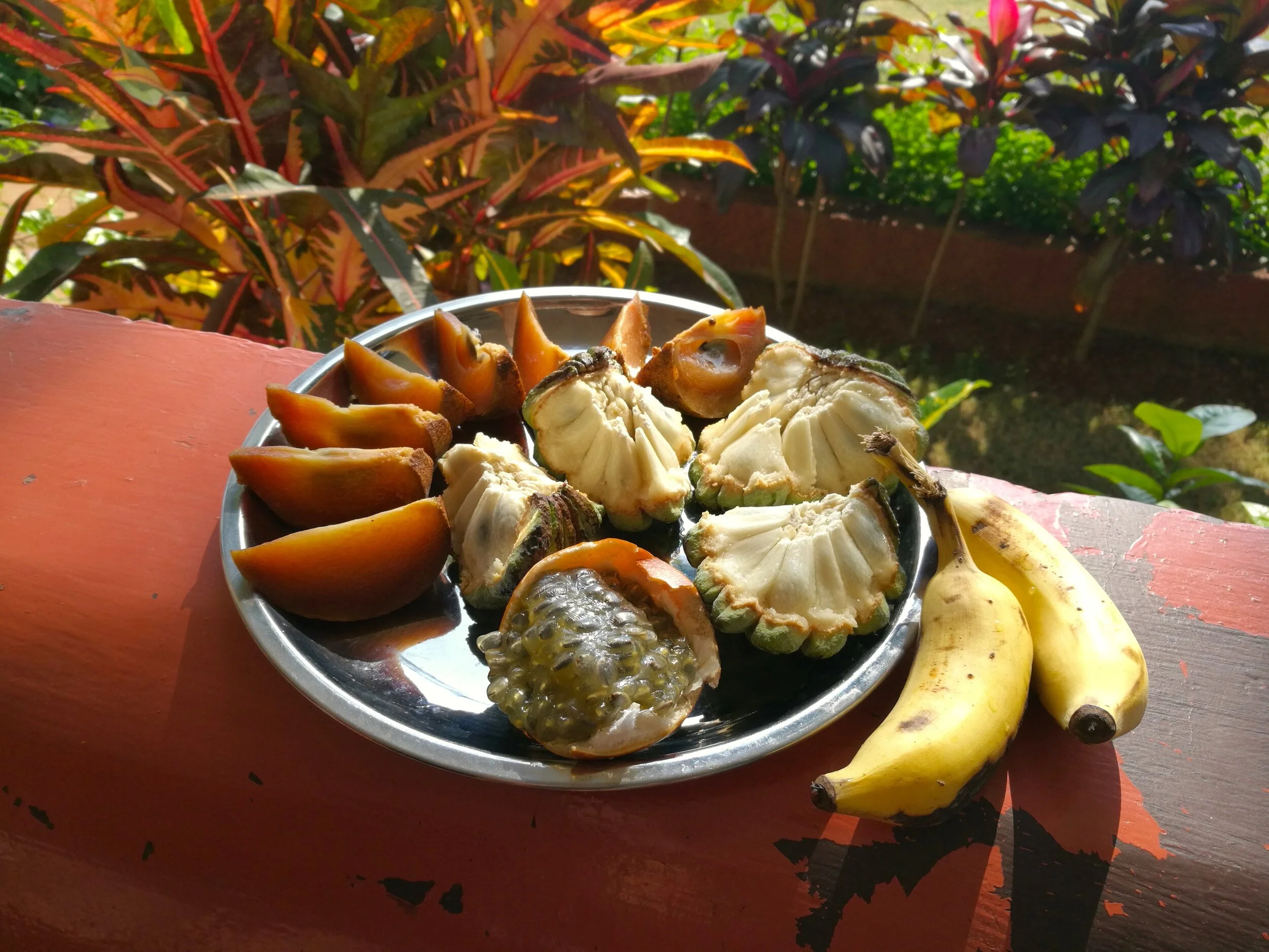  ゴアの果物：チックー（左上）は干し柿の味、カスタードアップル（右上）は、臭みのないドリアンのよう。下はパッションフルーツ。モンキーバナナは酸味が強く、イチゴを足したような味わい。 