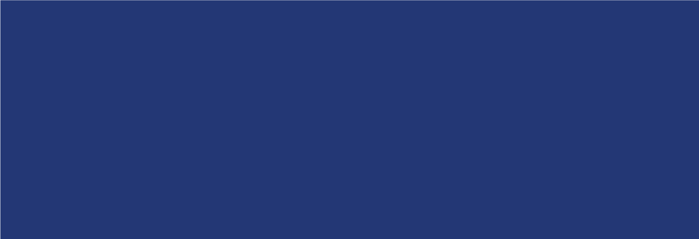 NSLLC WebBanner Blue-10.png