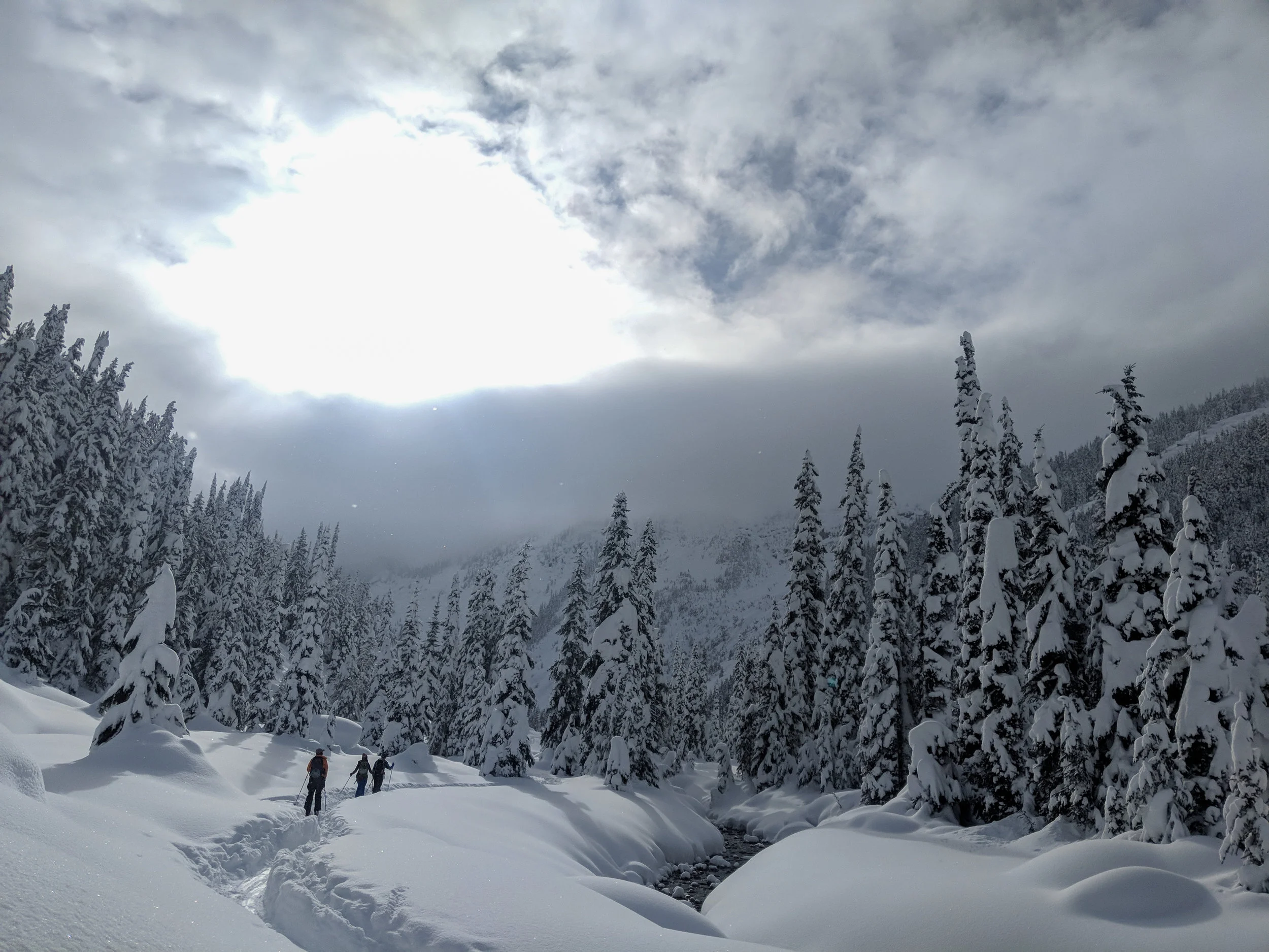 A Fork in the Skin Track