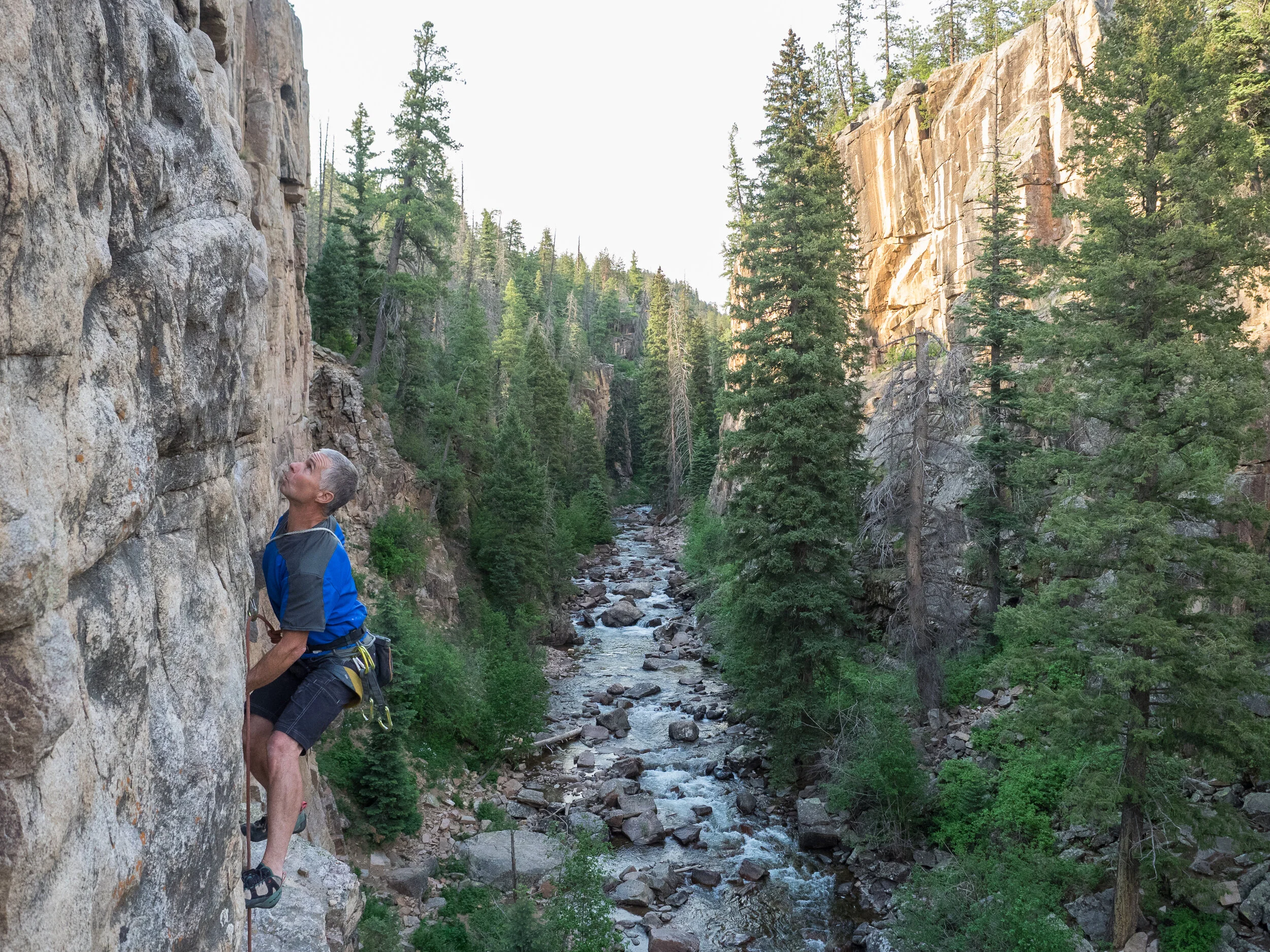 Earl Alderson “pacing the cage.”—photo courtesy of the LC
