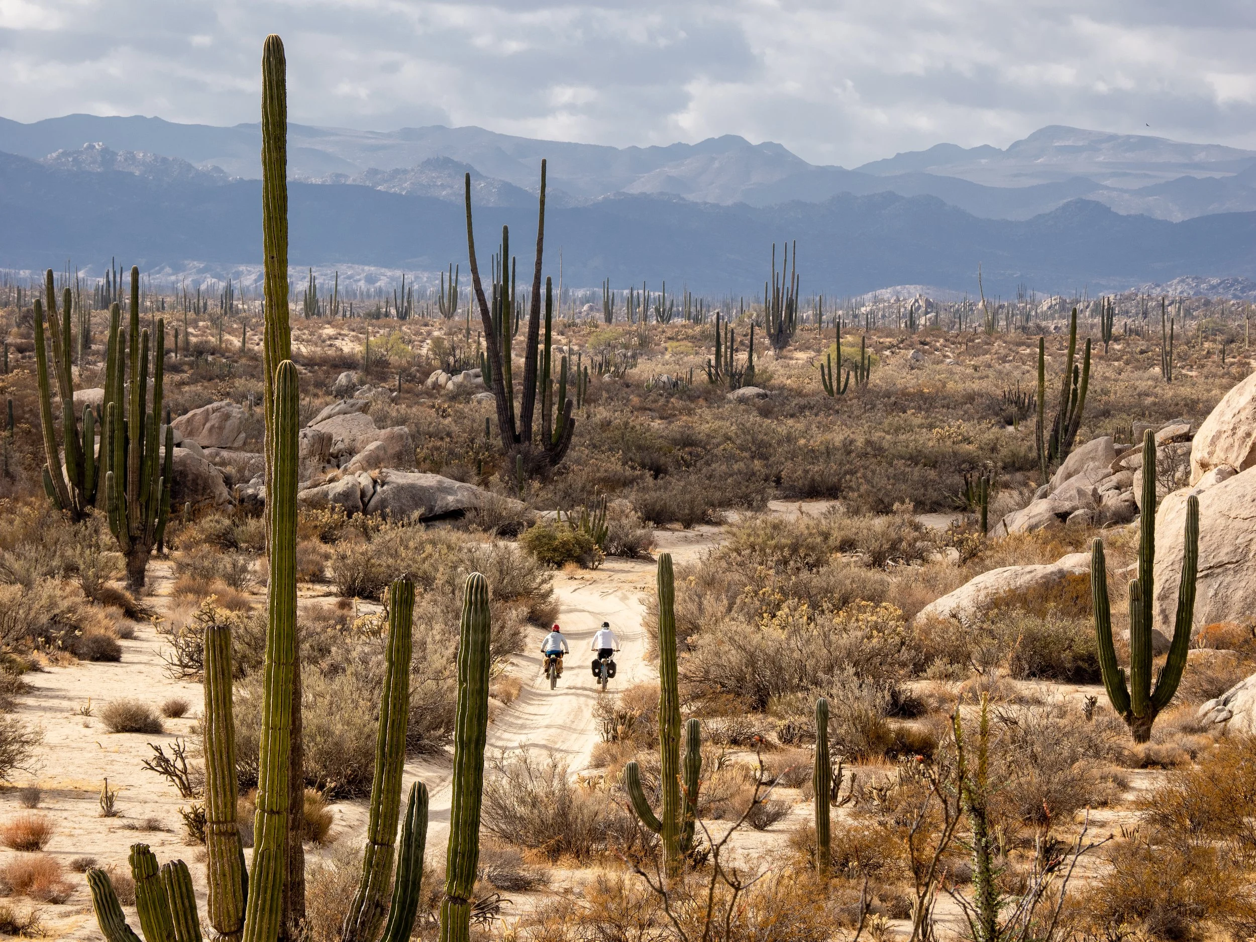 Bikepacking the Baja Divide