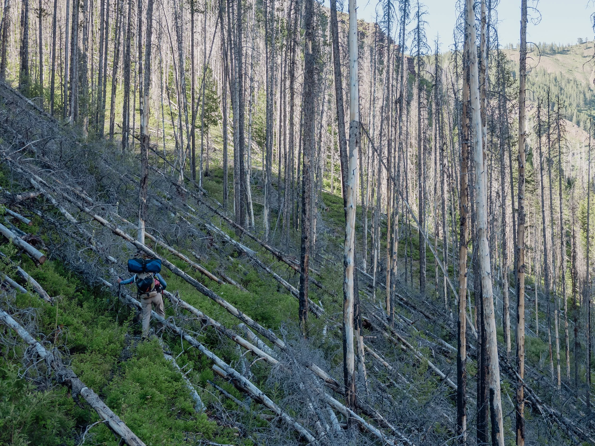 Adventure &amp; the Sunk Cost Fallacy