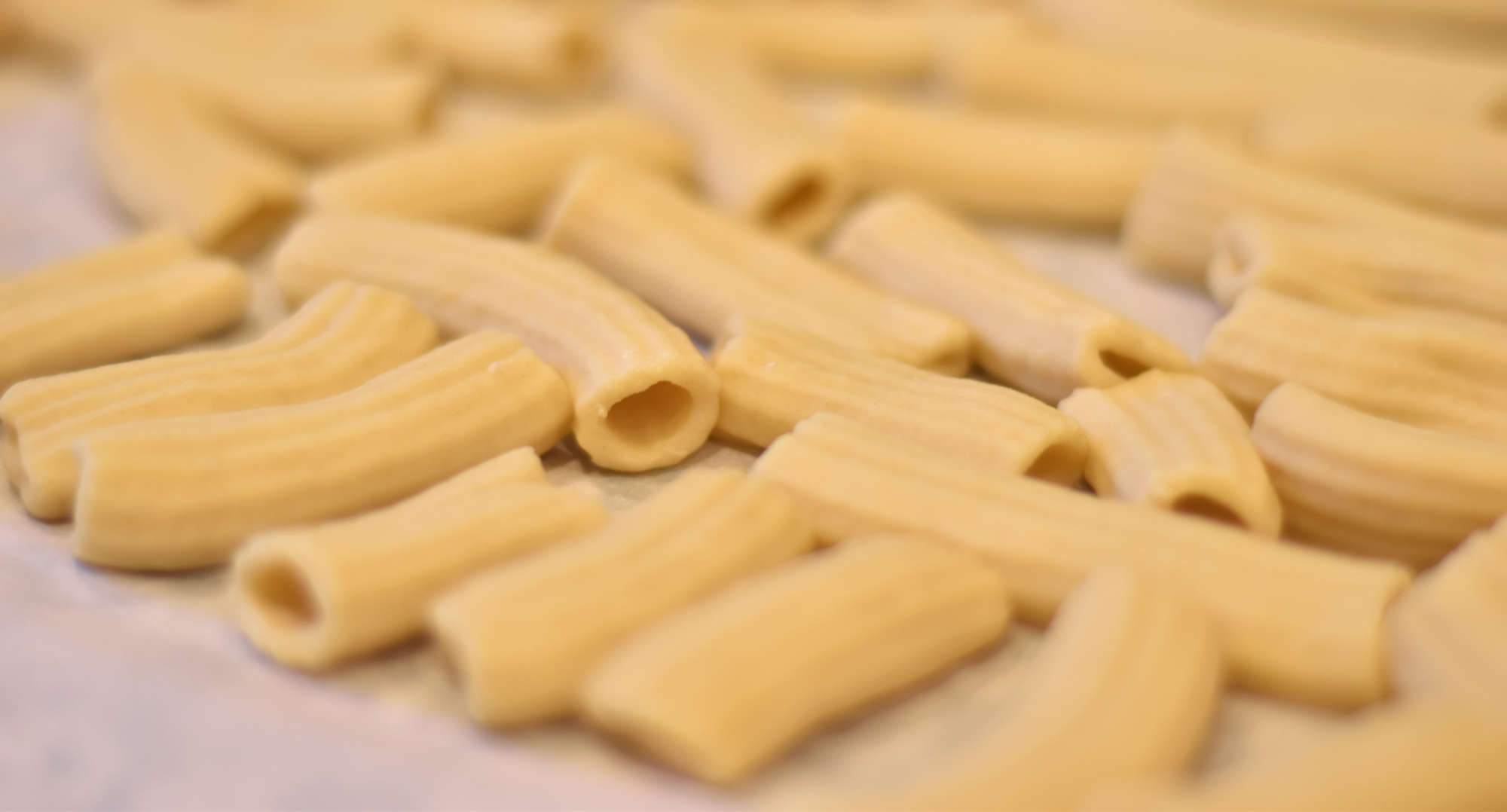 Dried Pasta_v01.png