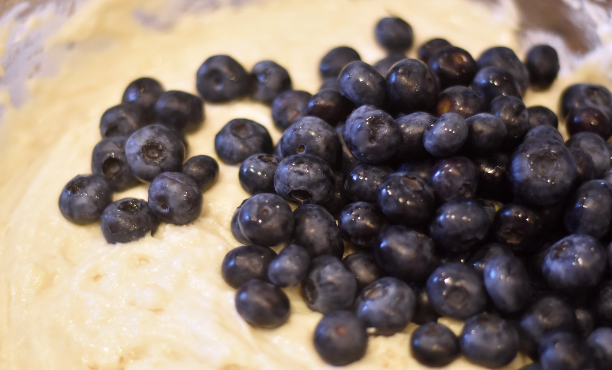 Blueberries in Batter_v01.png