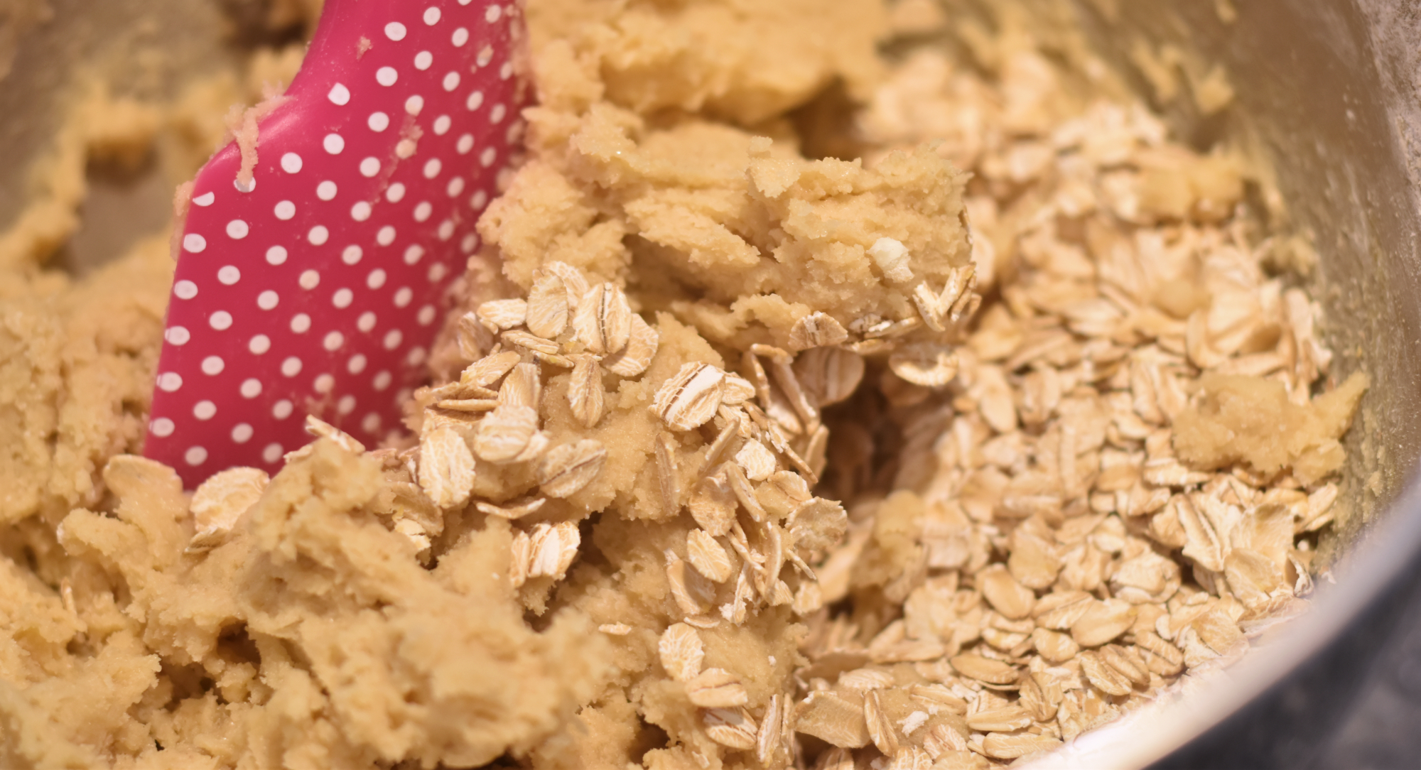 Hint of Southern Backpack Cookies Oats.jpg
