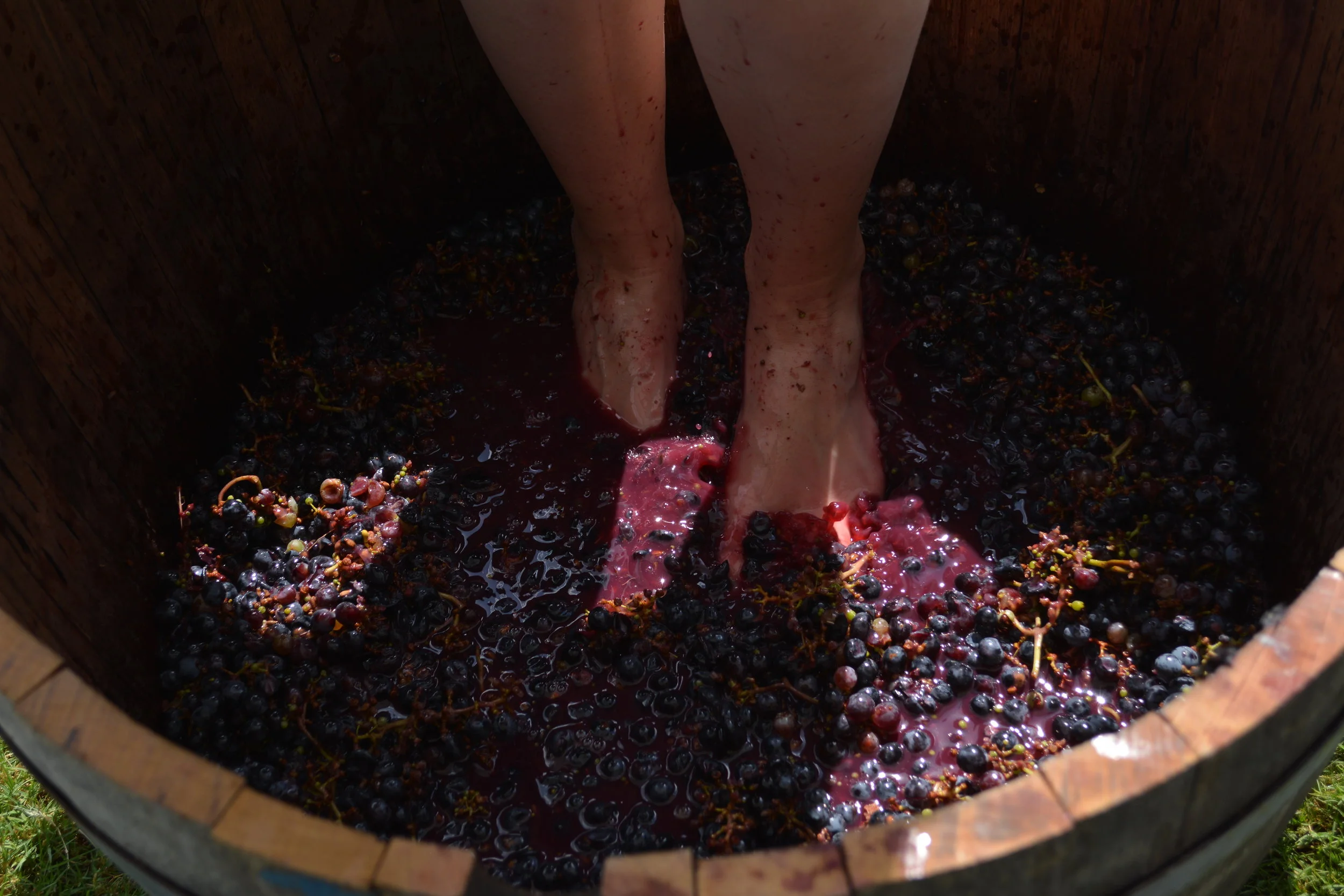 Wine Stomp Schedule 2017