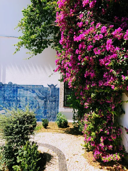 Miradouro de Santa Luzia