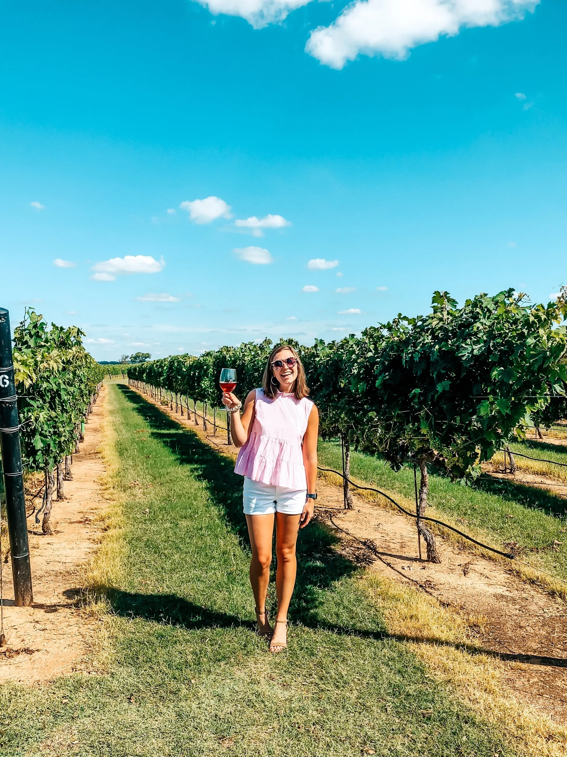 The Basics to Tasting Wine Like a Pro