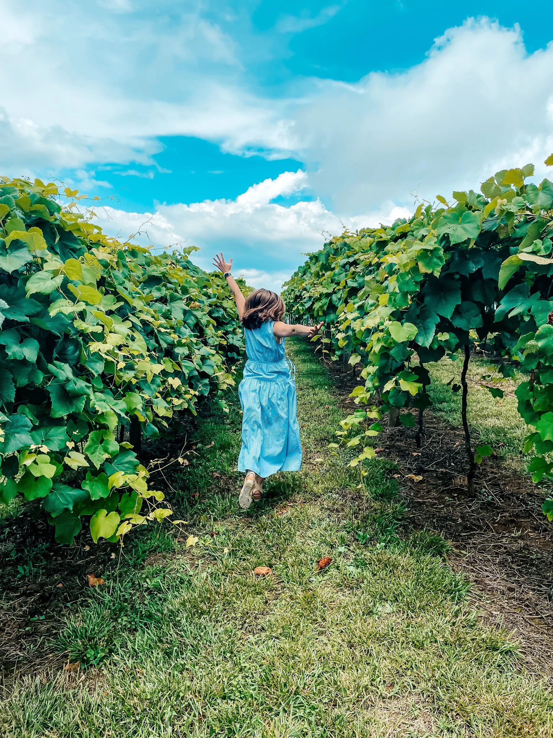 Exploring North Georgia Wine Country