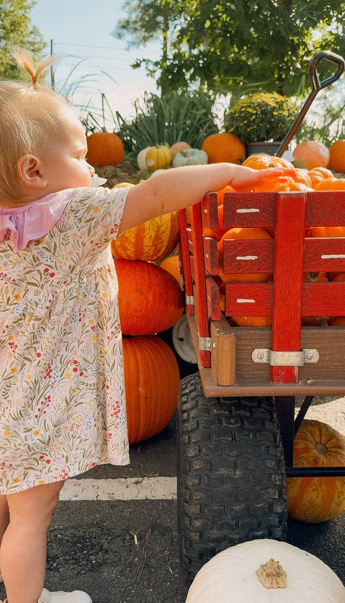 The Ultimate Fall Bucket List for Auburn-Opelika: Savor the PSL Season