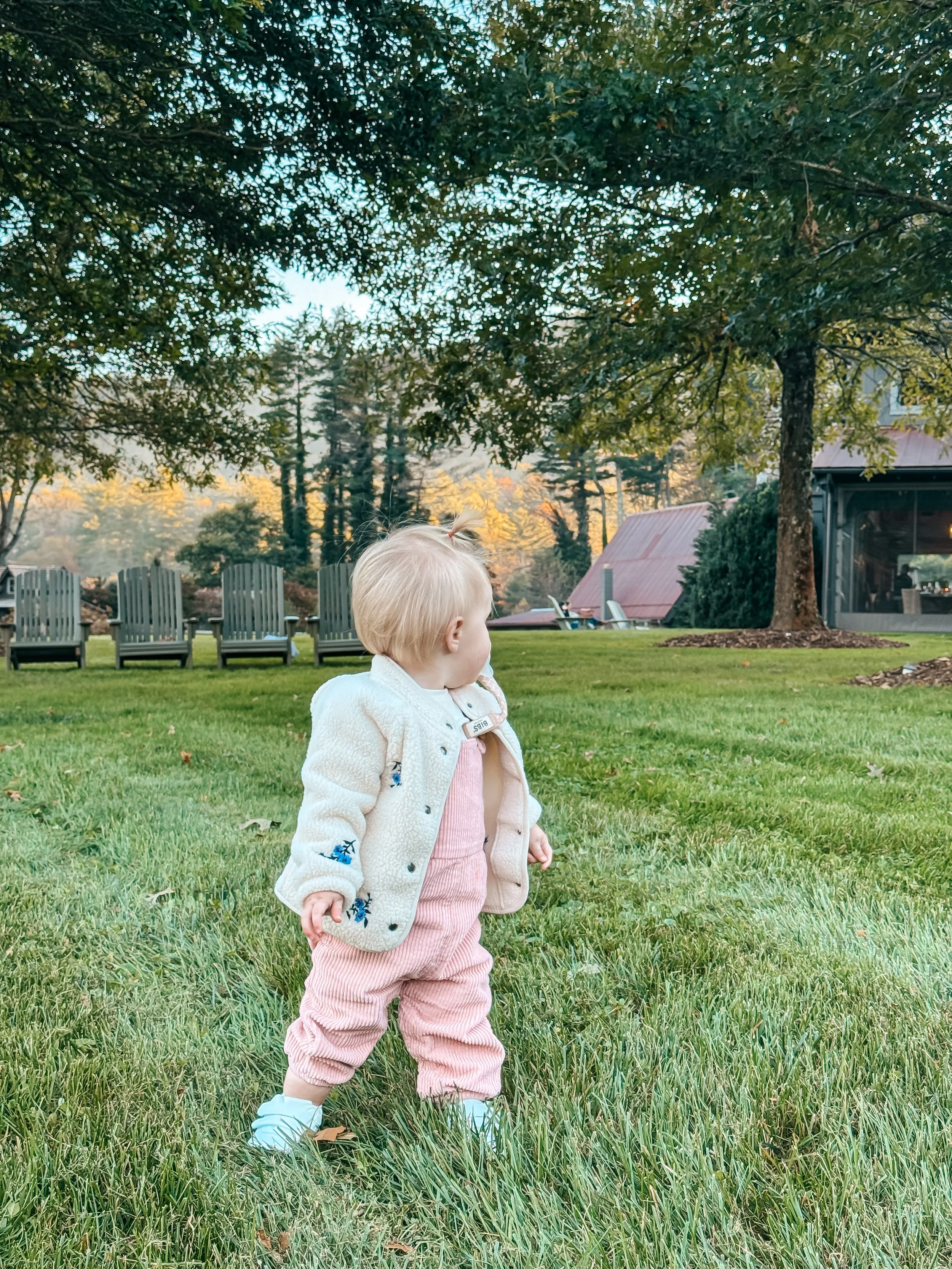 8 Family-Friendly Fall Getaways in the Southeast (All Within a Day's Drive of Auburn &amp; Atlanta)