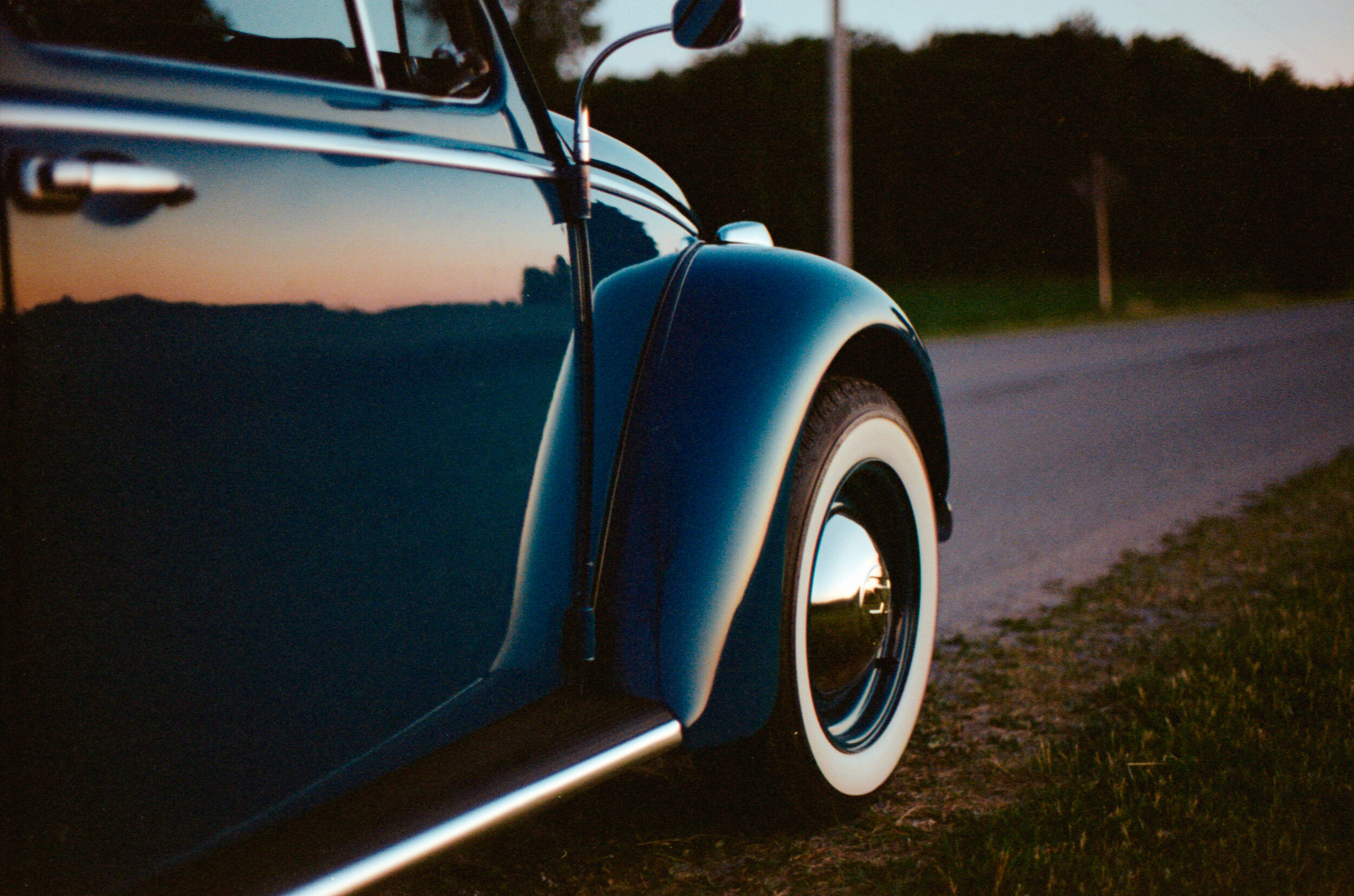 beetle in the evening-3.jpg