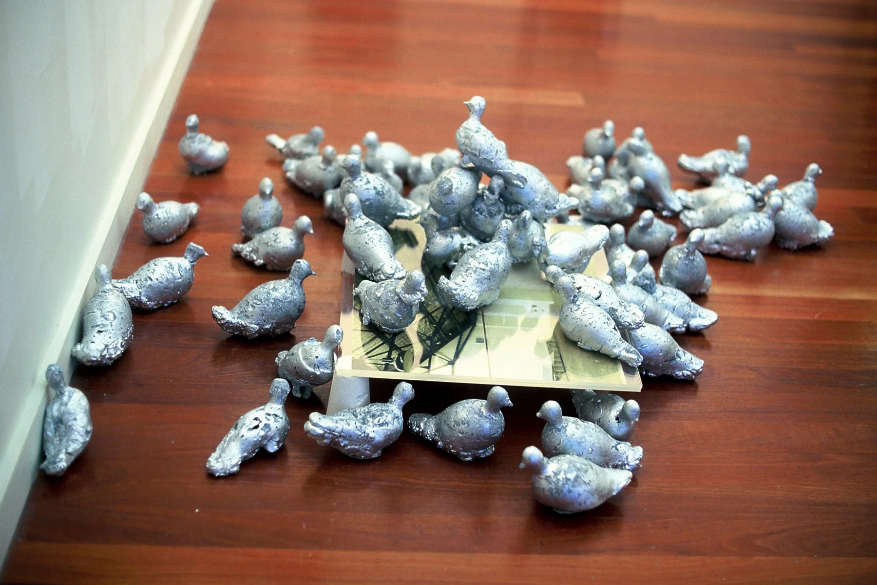 roost, 2000