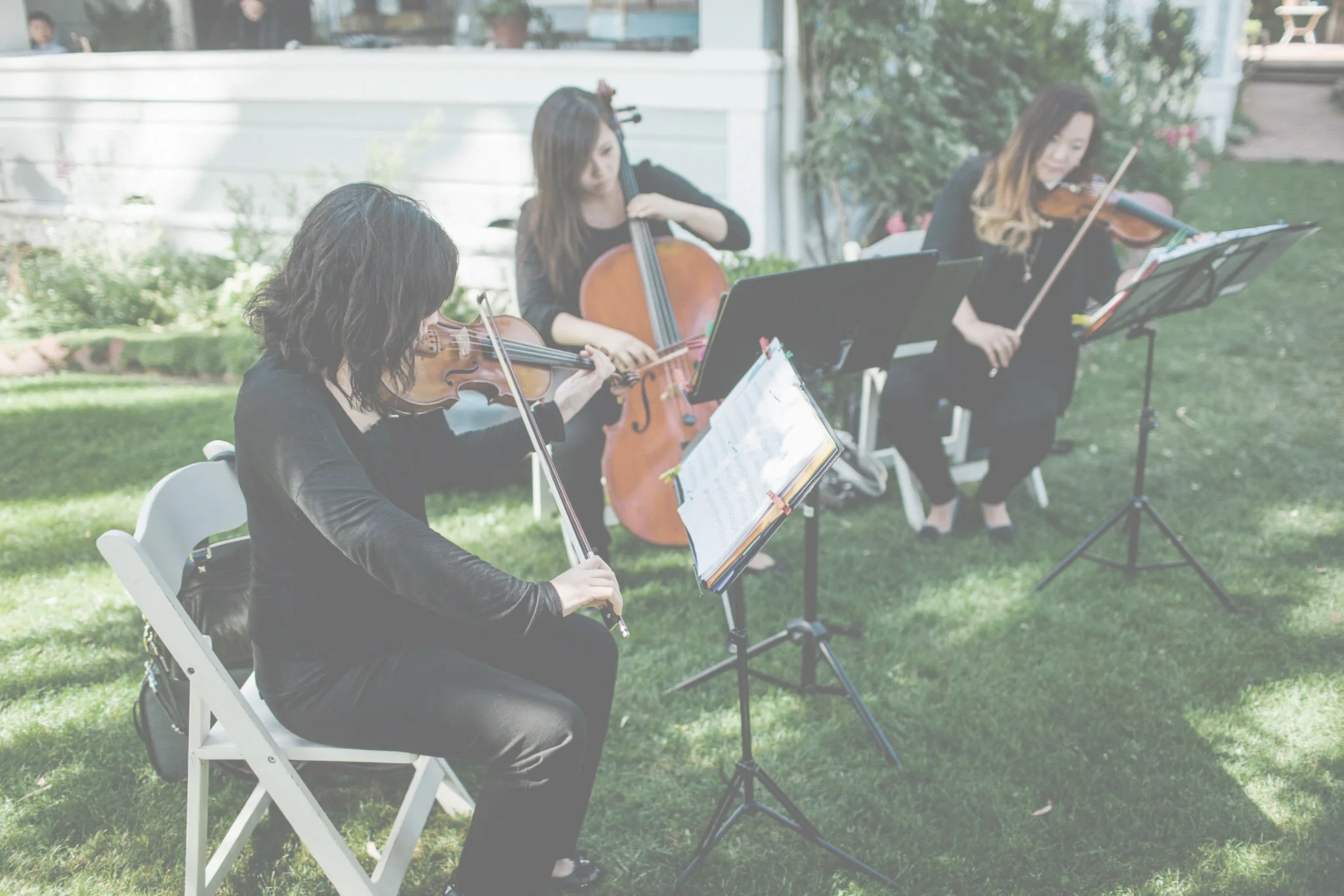 alira strings wedding picture light.jpg