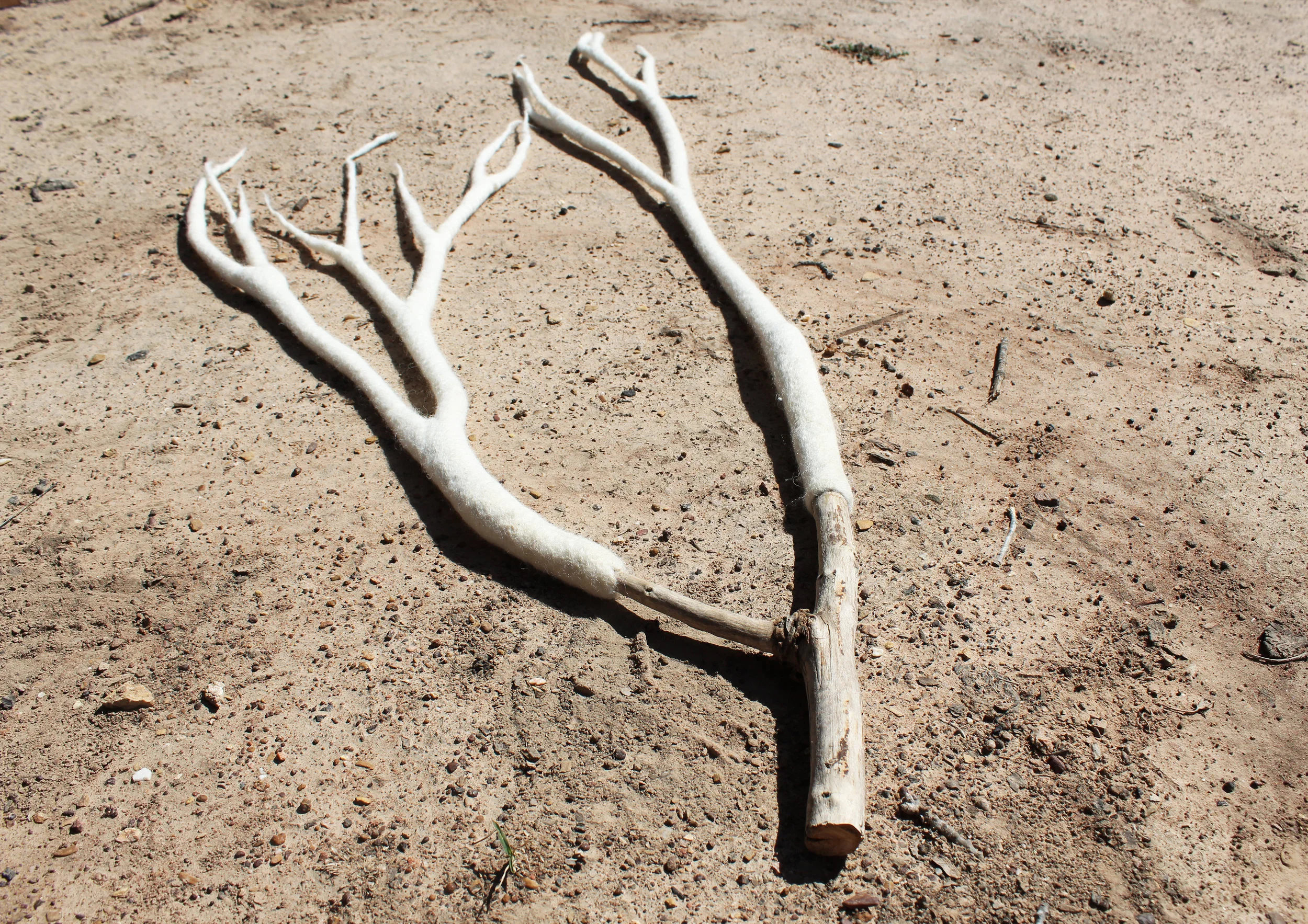 ‘Skeleton’, Reservoir 2019