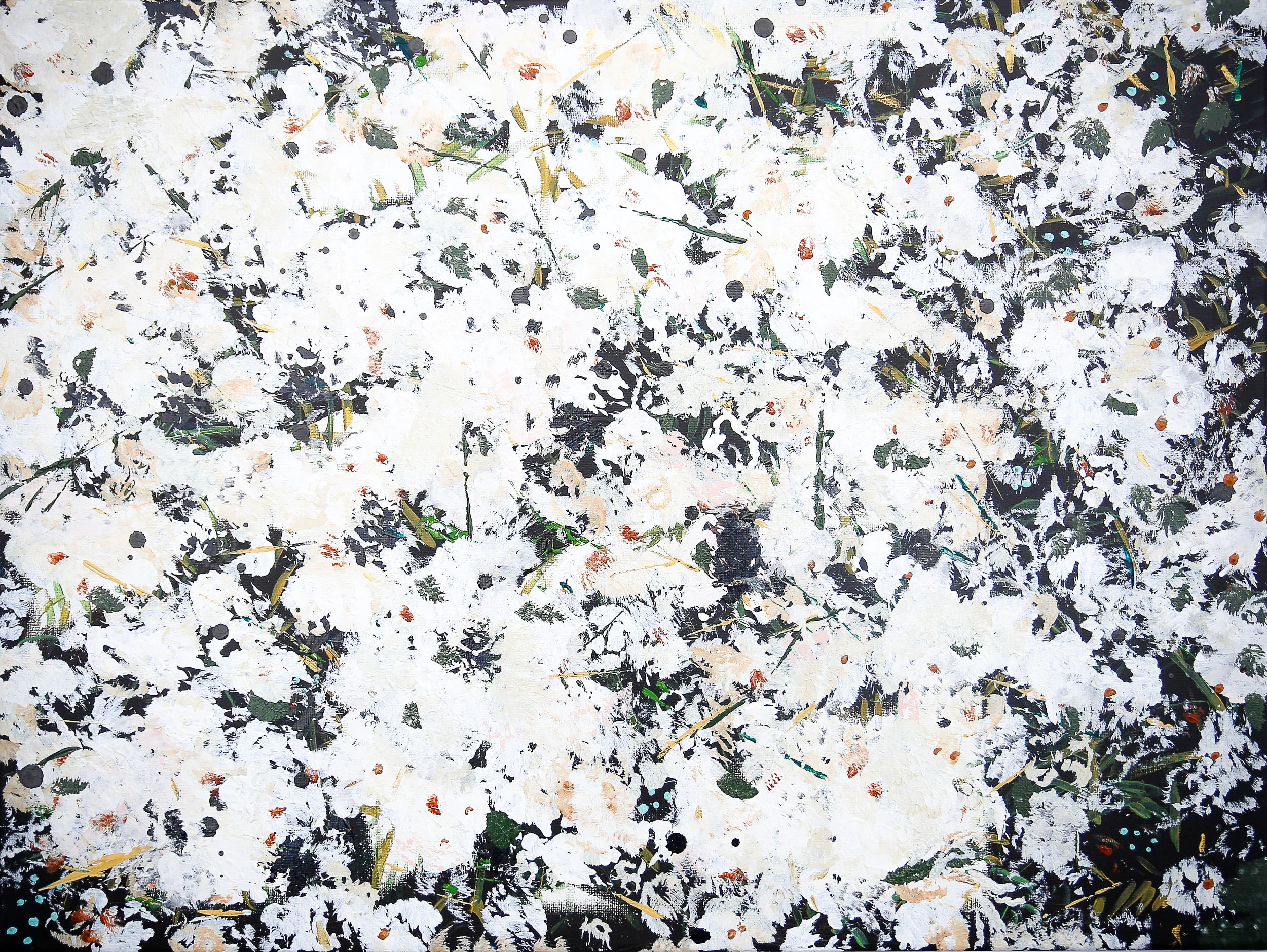 Bloom no 2 .jpg
