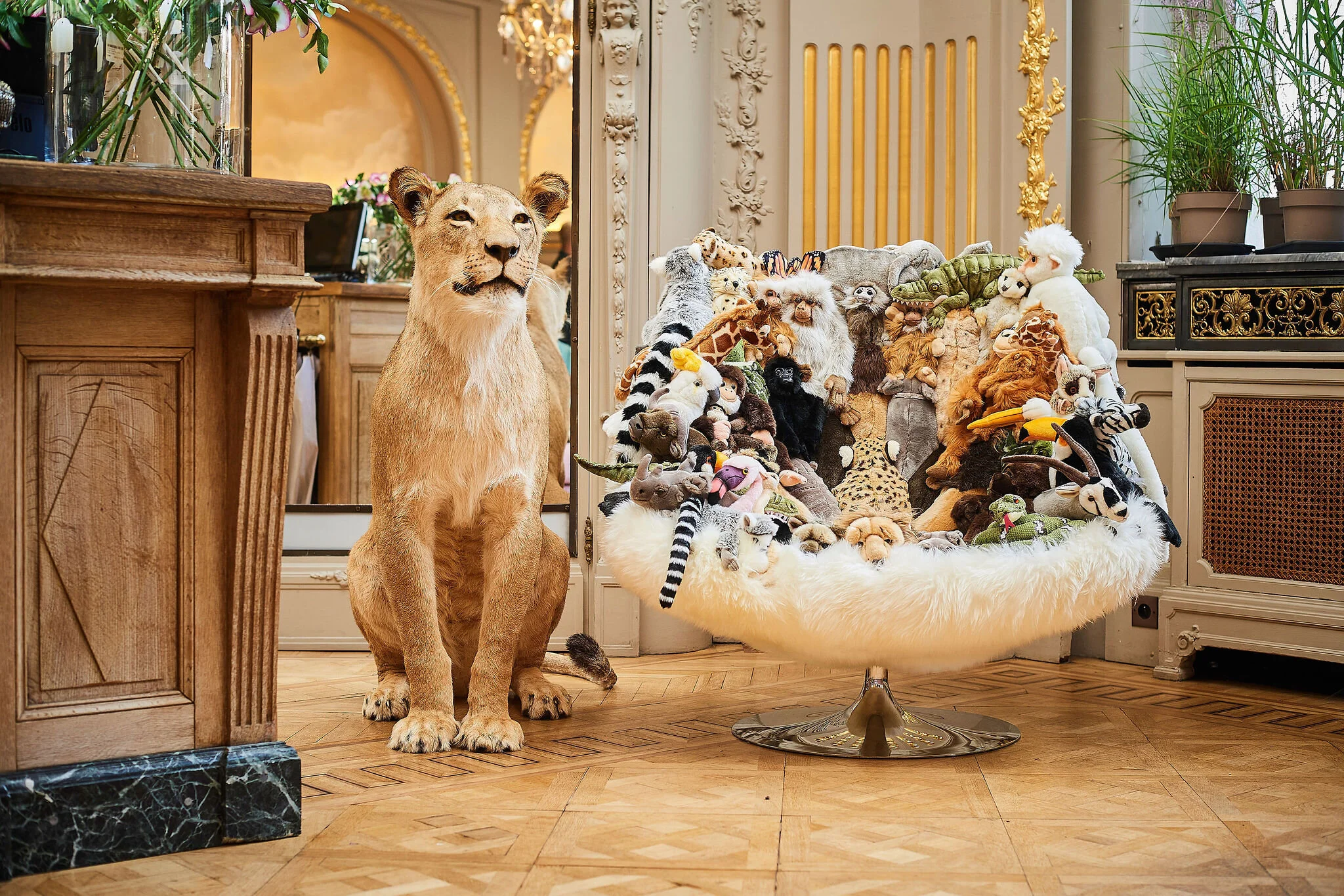 AFRICAN SAFARI CHAIR — AP collection