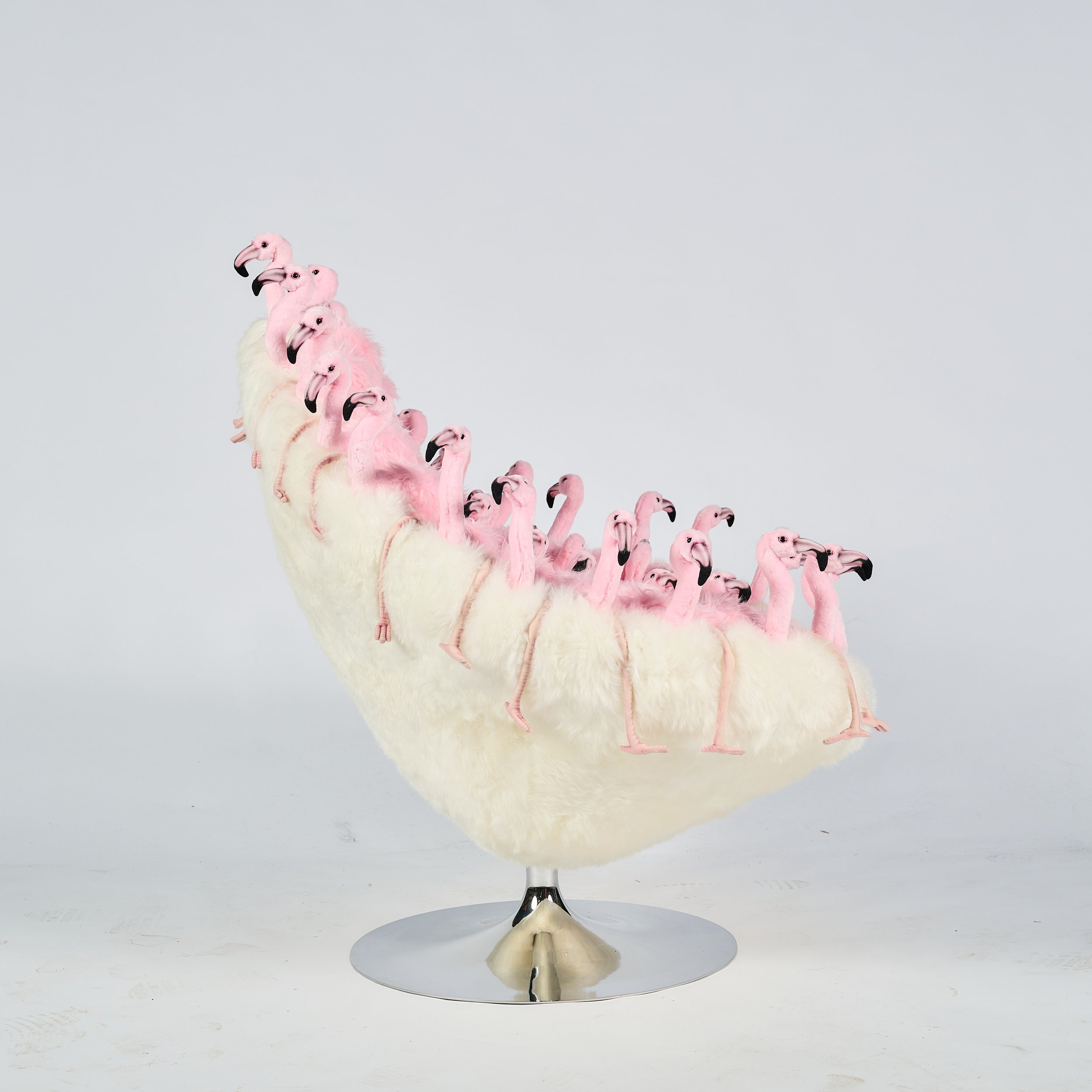 2026_01_12-AP- 205.jpg