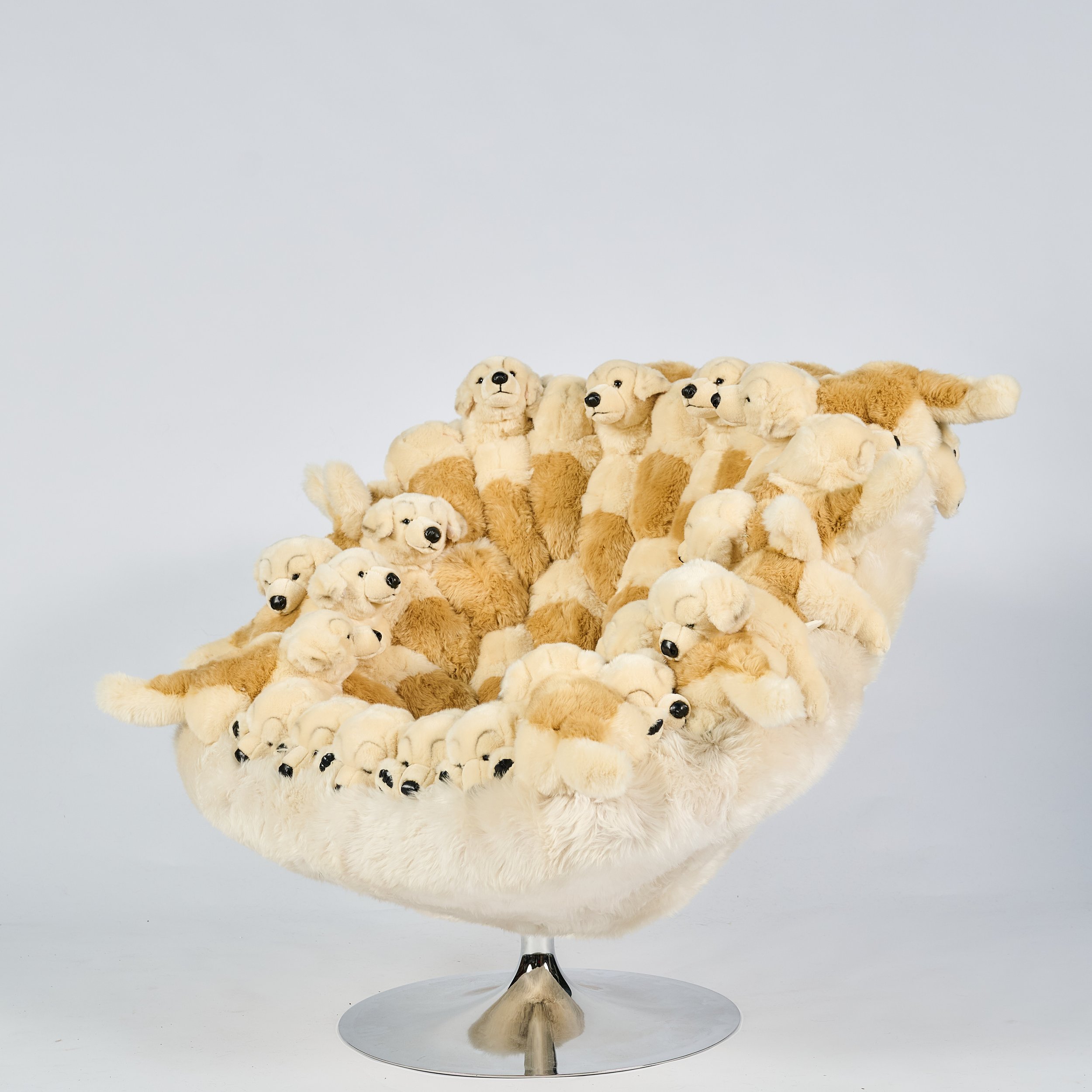 2026_01_12-AP- 97.jpg