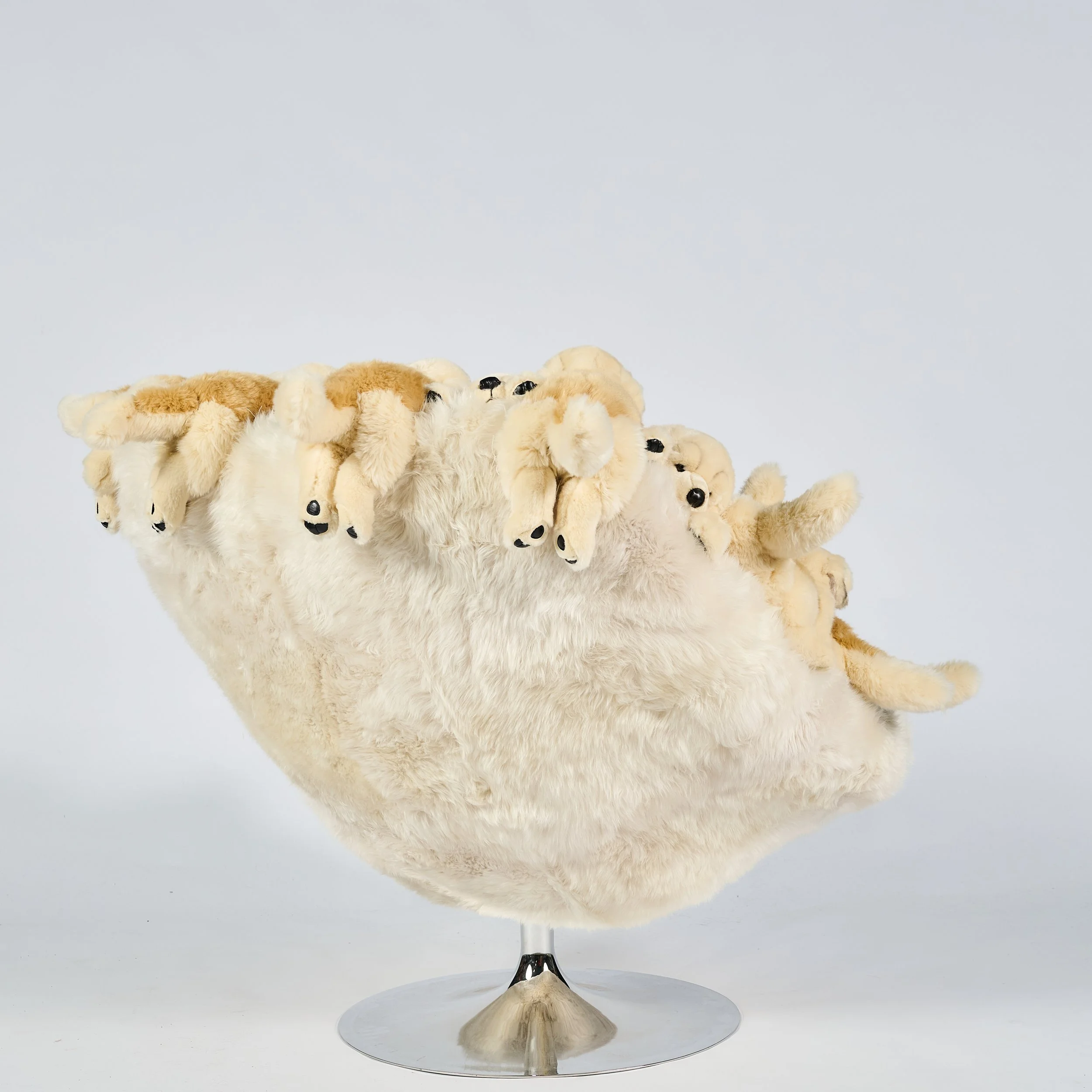 2026_01_12-AP- 101.jpg