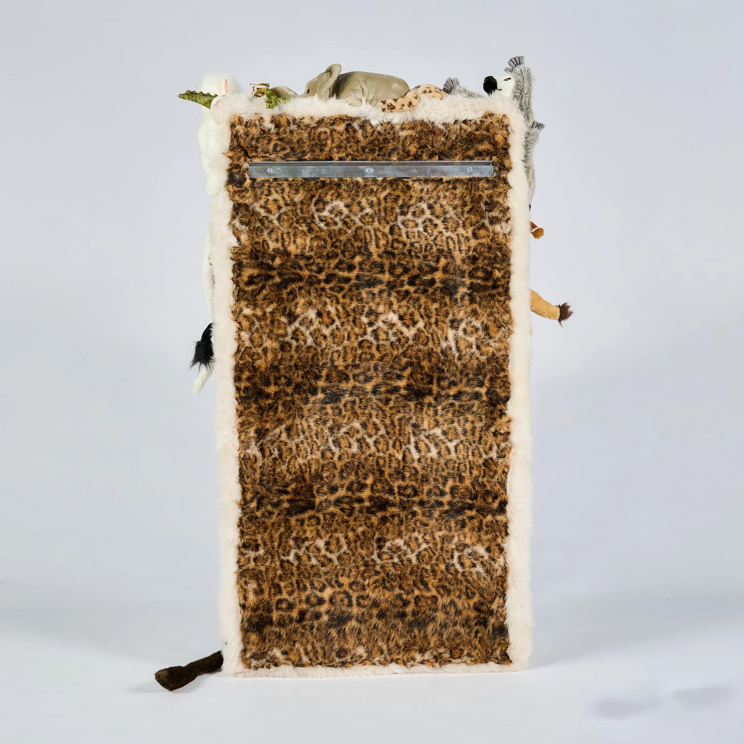 2026_01_12-AP- 106.jpg