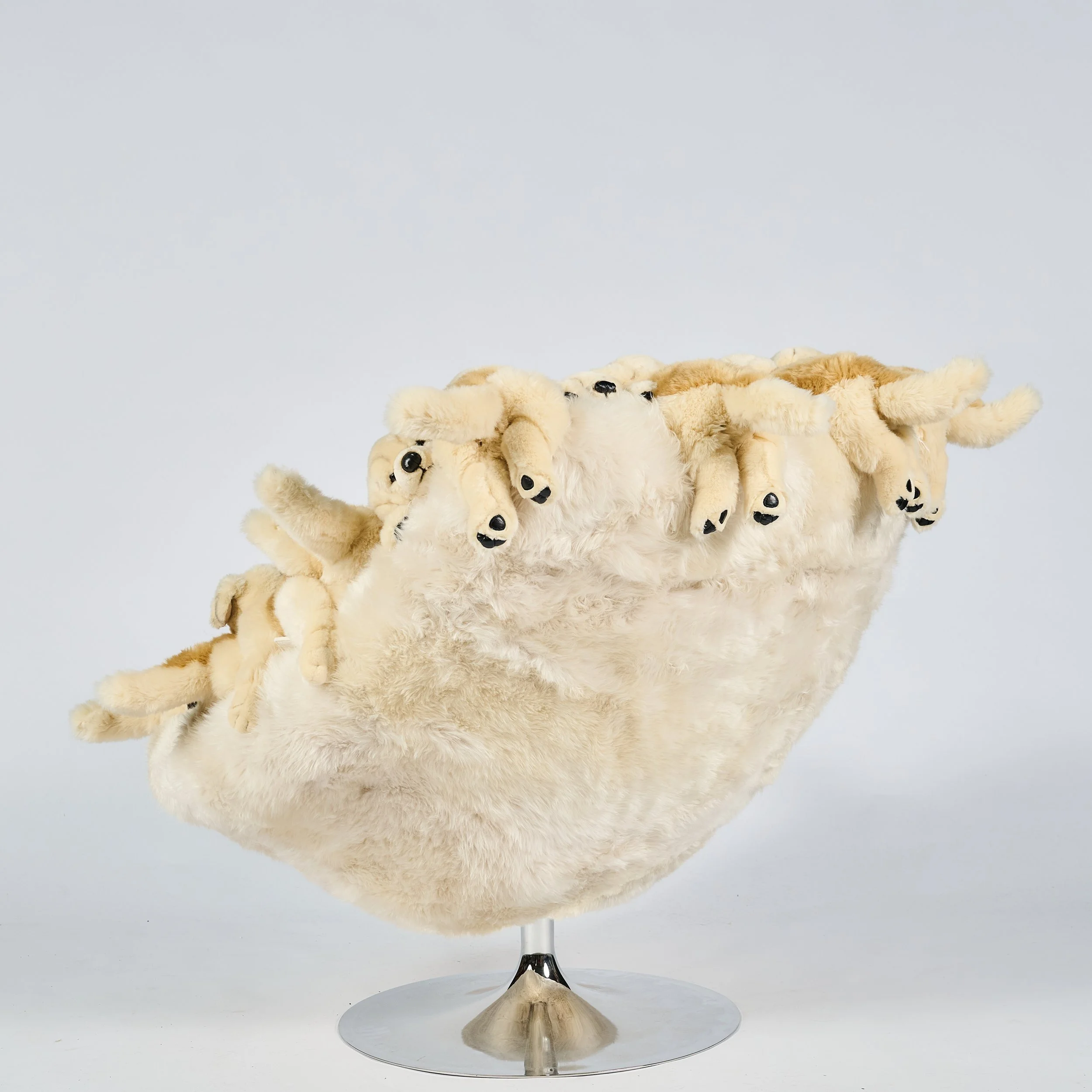 2026_01_12-AP- 99.jpg