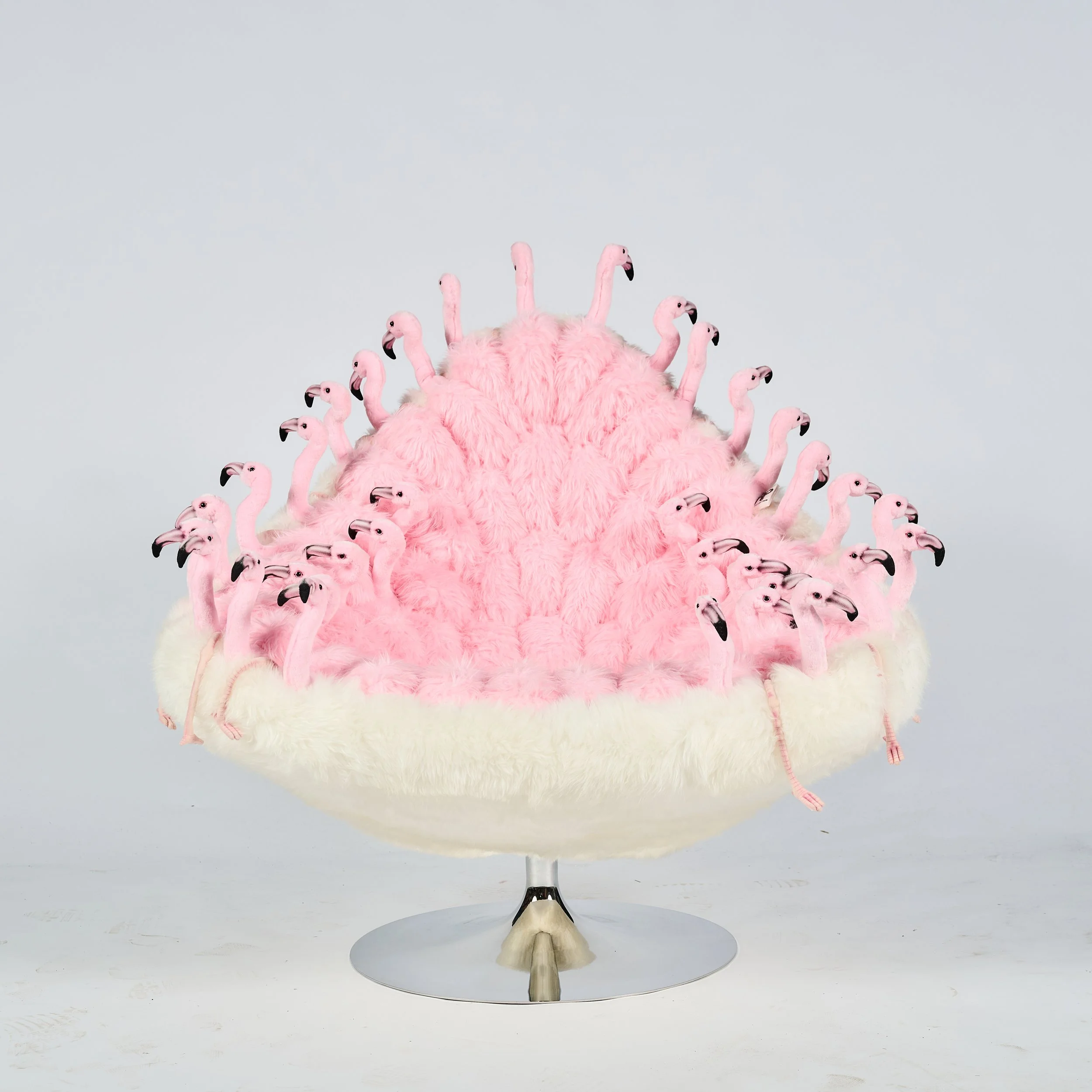 2026_01_12-AP- 197.jpg