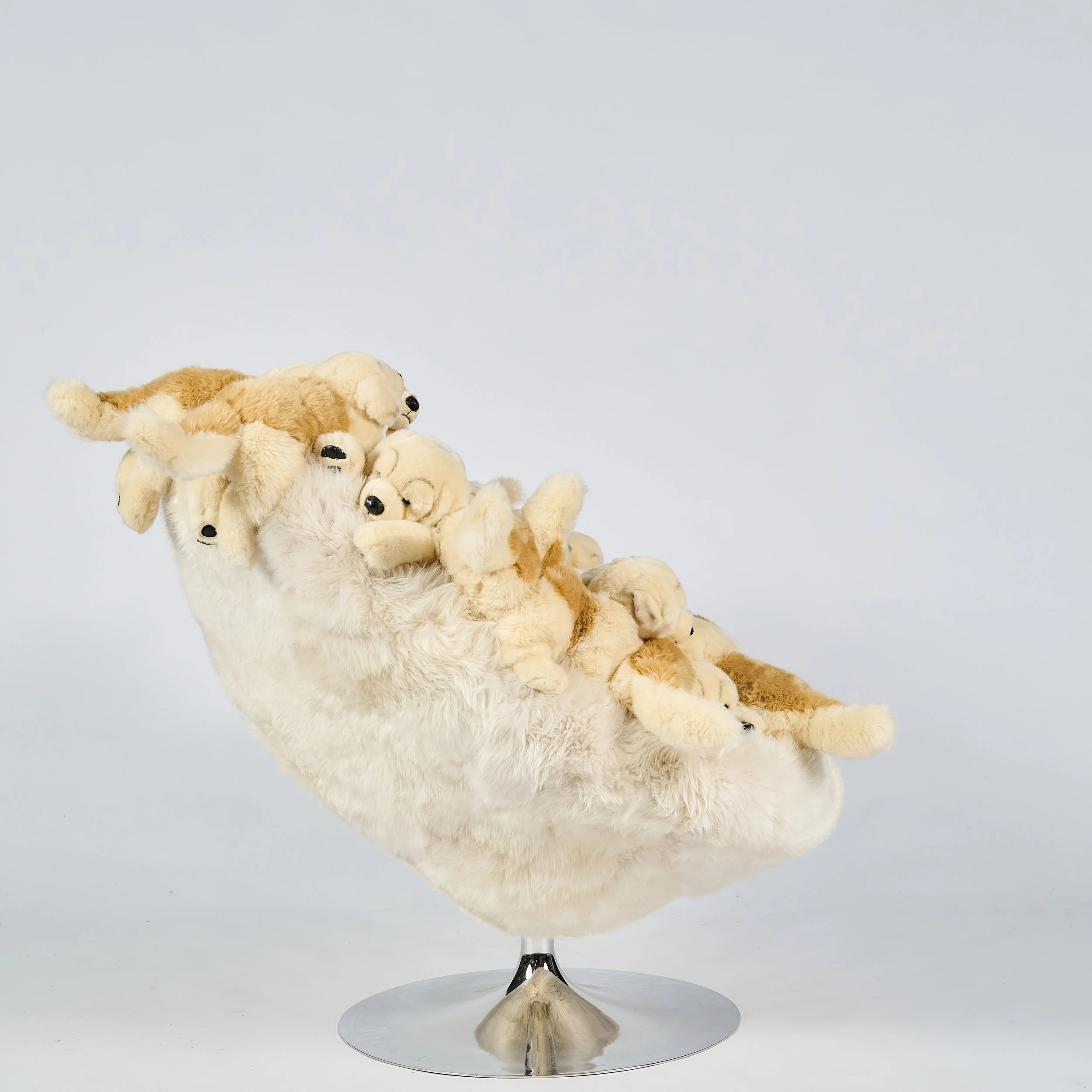 2026_01_12-AP- 102.jpg