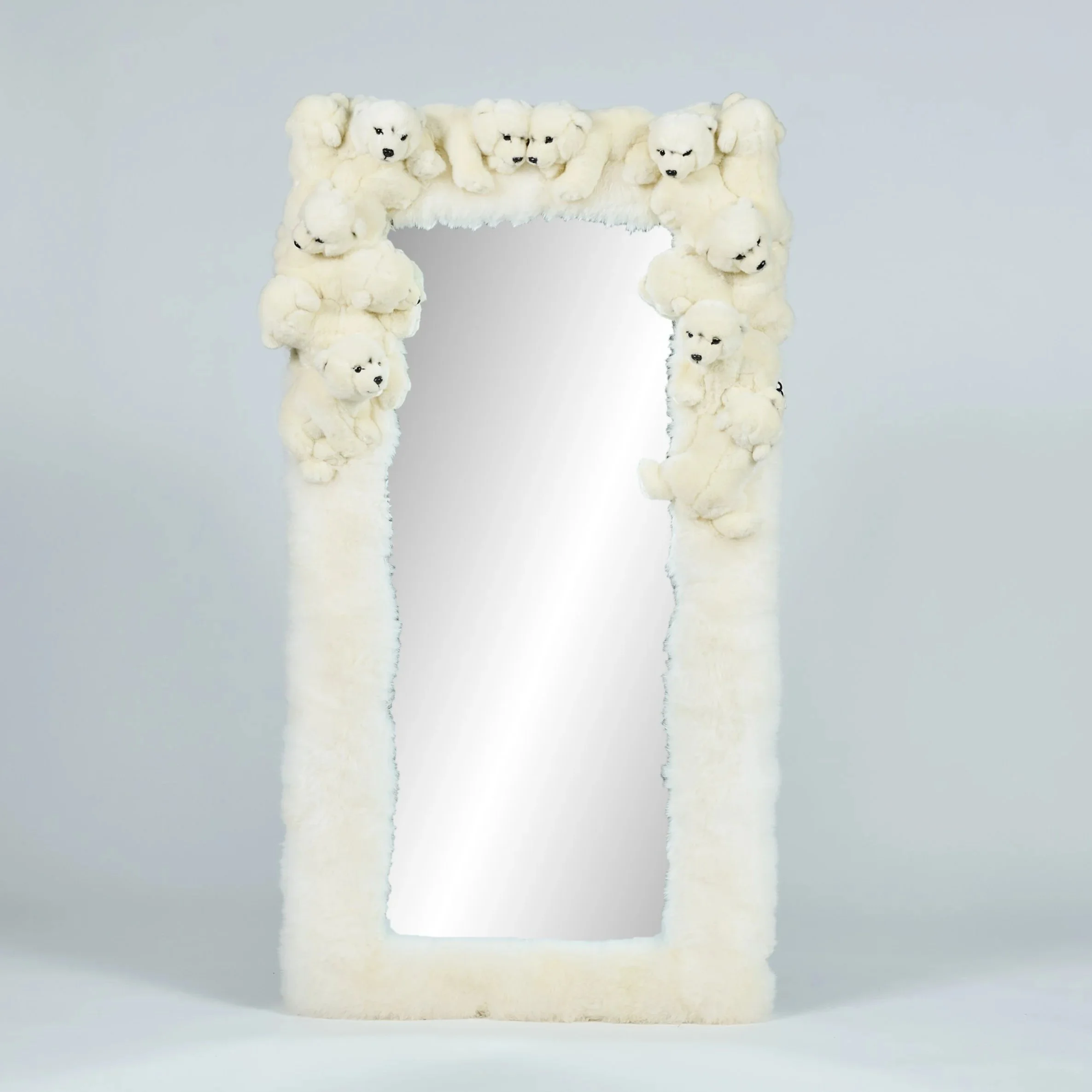 Polar Mirror