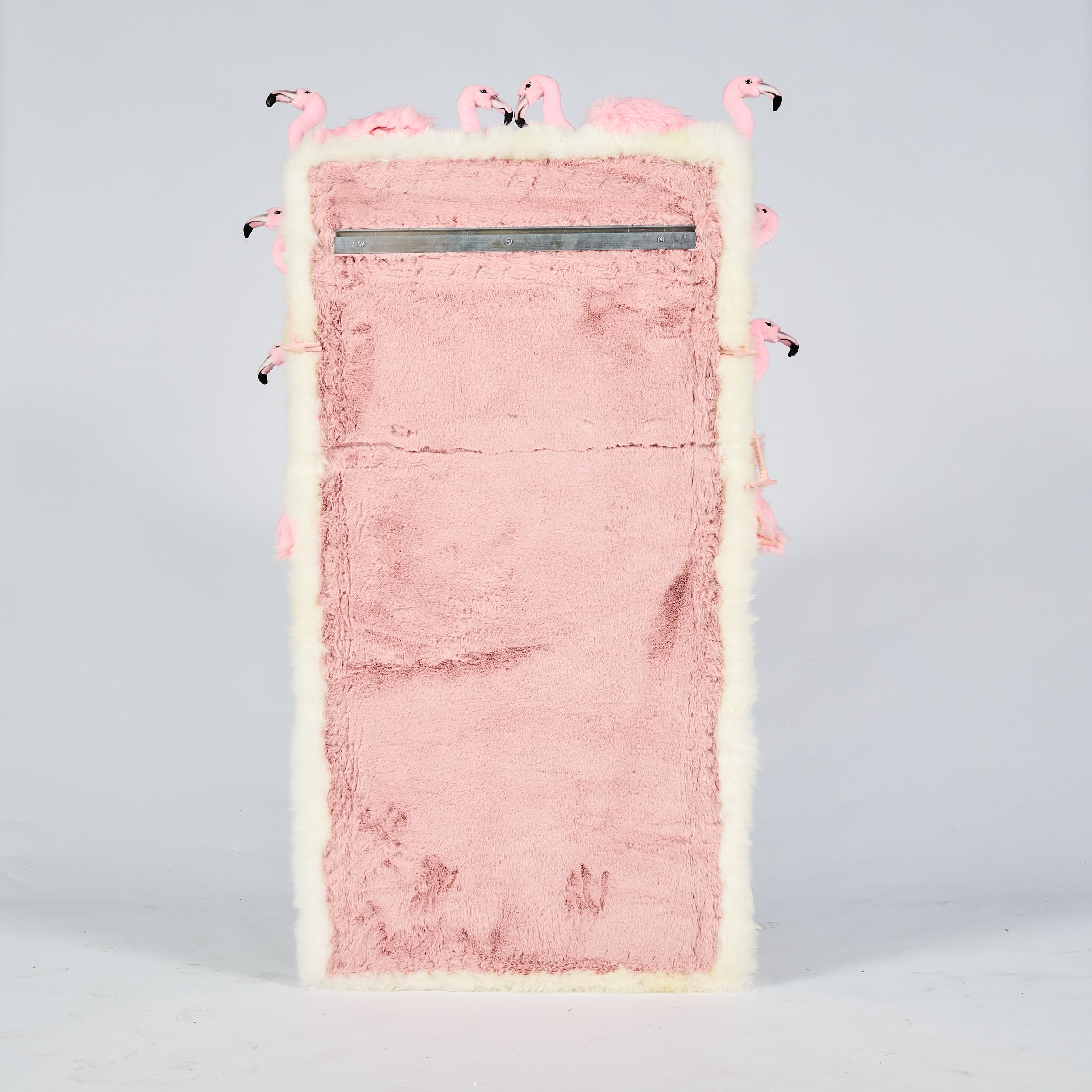 2026_01_12-AP- 195.jpg