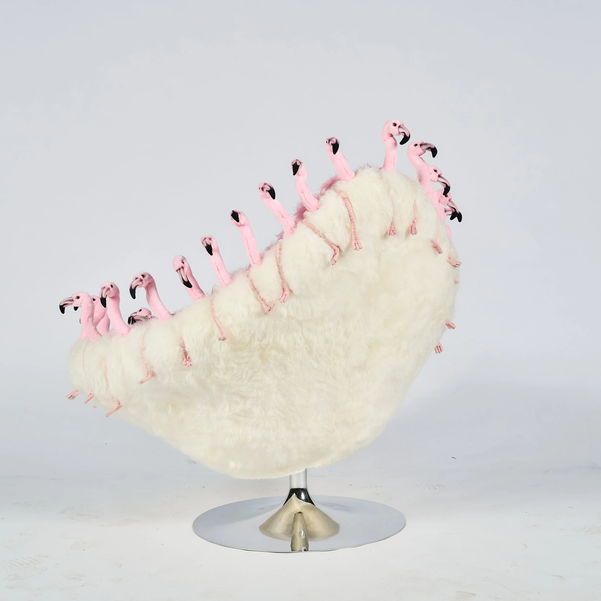 2026_01_12-AP- 202.jpg