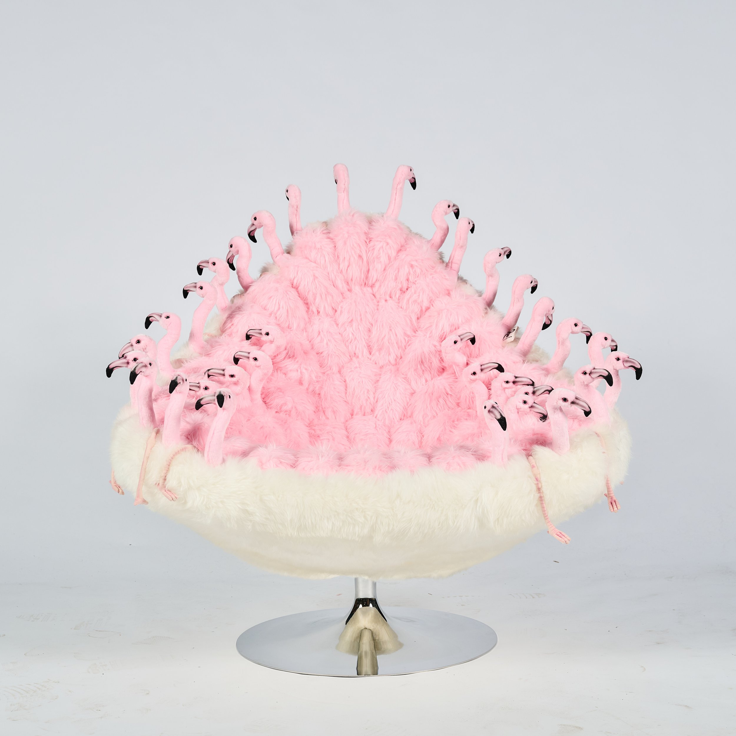 2026_01_12-AP- 196.jpg