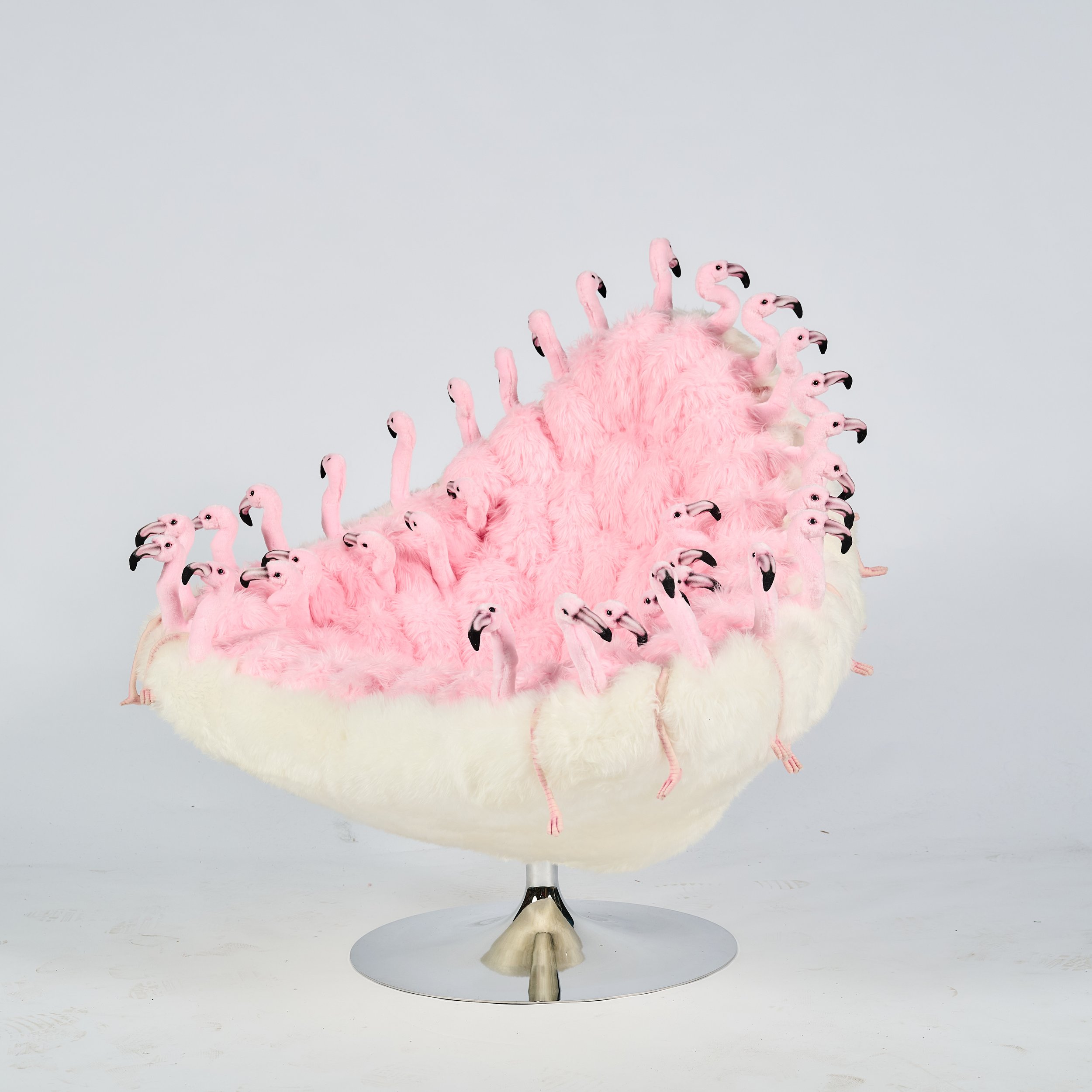 2026_01_12-AP- 200.jpg