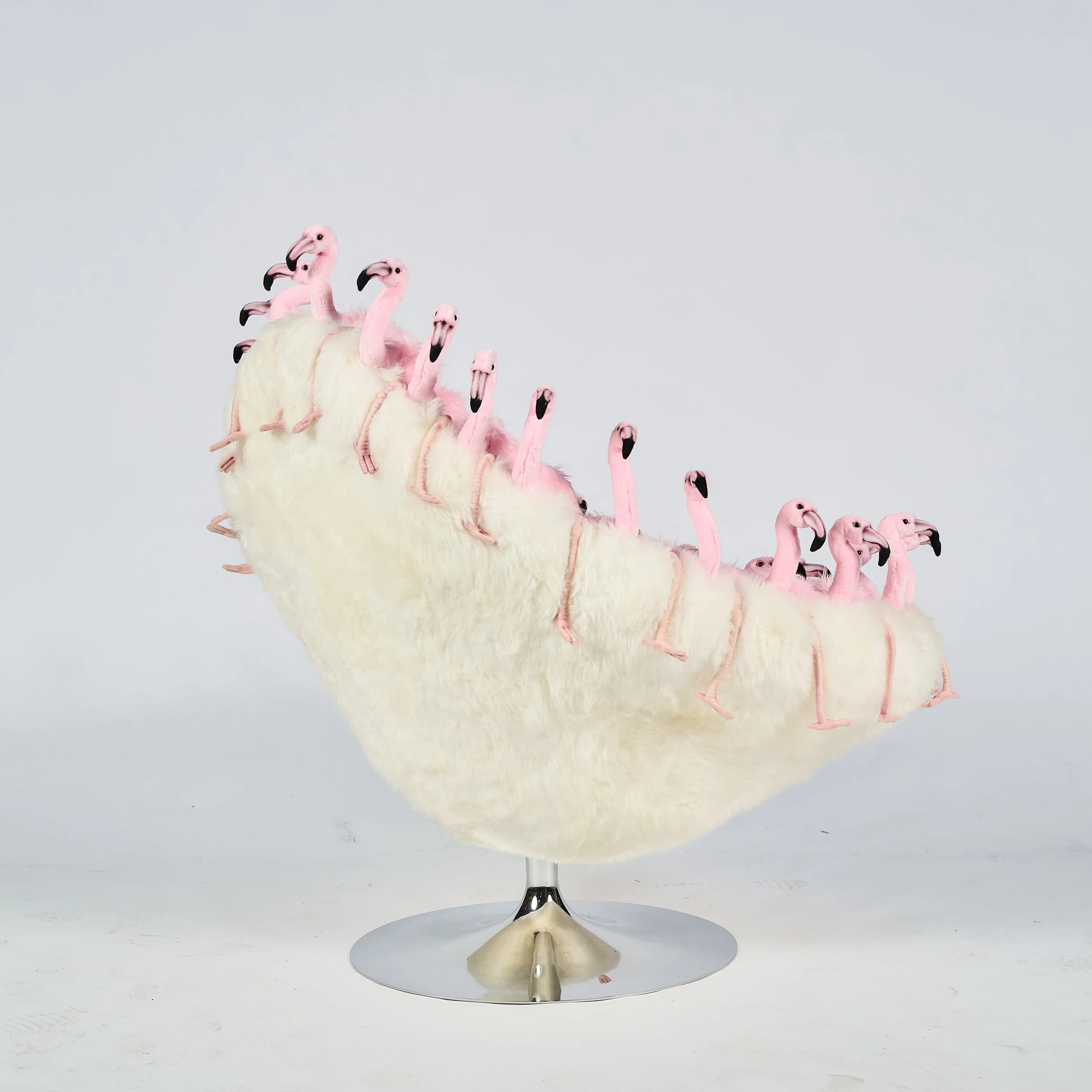 2026_01_12-AP- 204.jpg