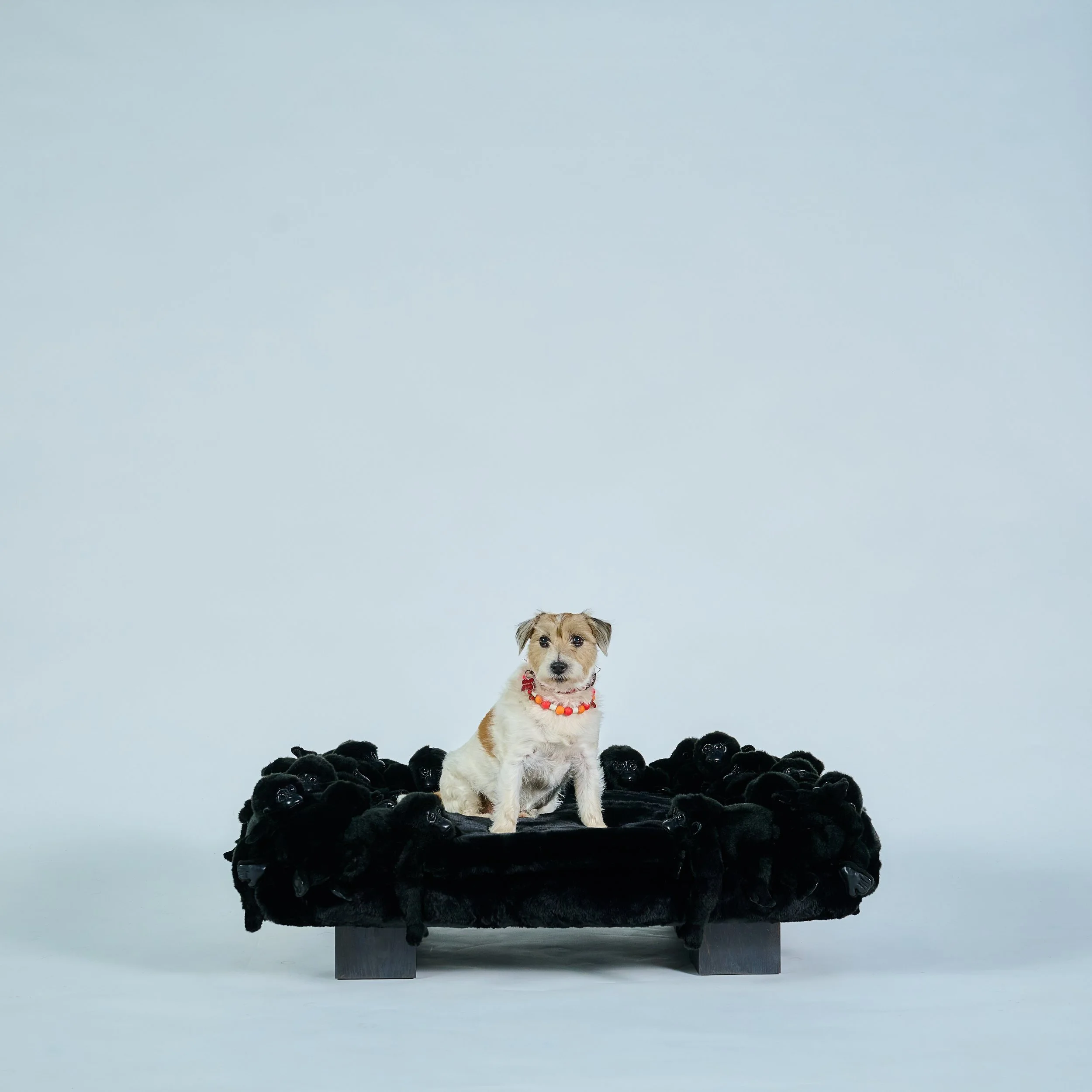 A sanctuary for your companion. A handcrafted wooden base, dense premium faux fur and a recycled plush filling, crowned with handmade plush puppies. Decorative and deeply comfortable, made to measure for your interior.

Handmade in Belgium · 100 × 70