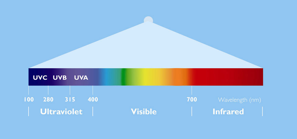 From http://www.lighting.philips.com/b-dam/b2b-li/en_AA/products/special-lighting/uv-purification/uv-tech.jpg