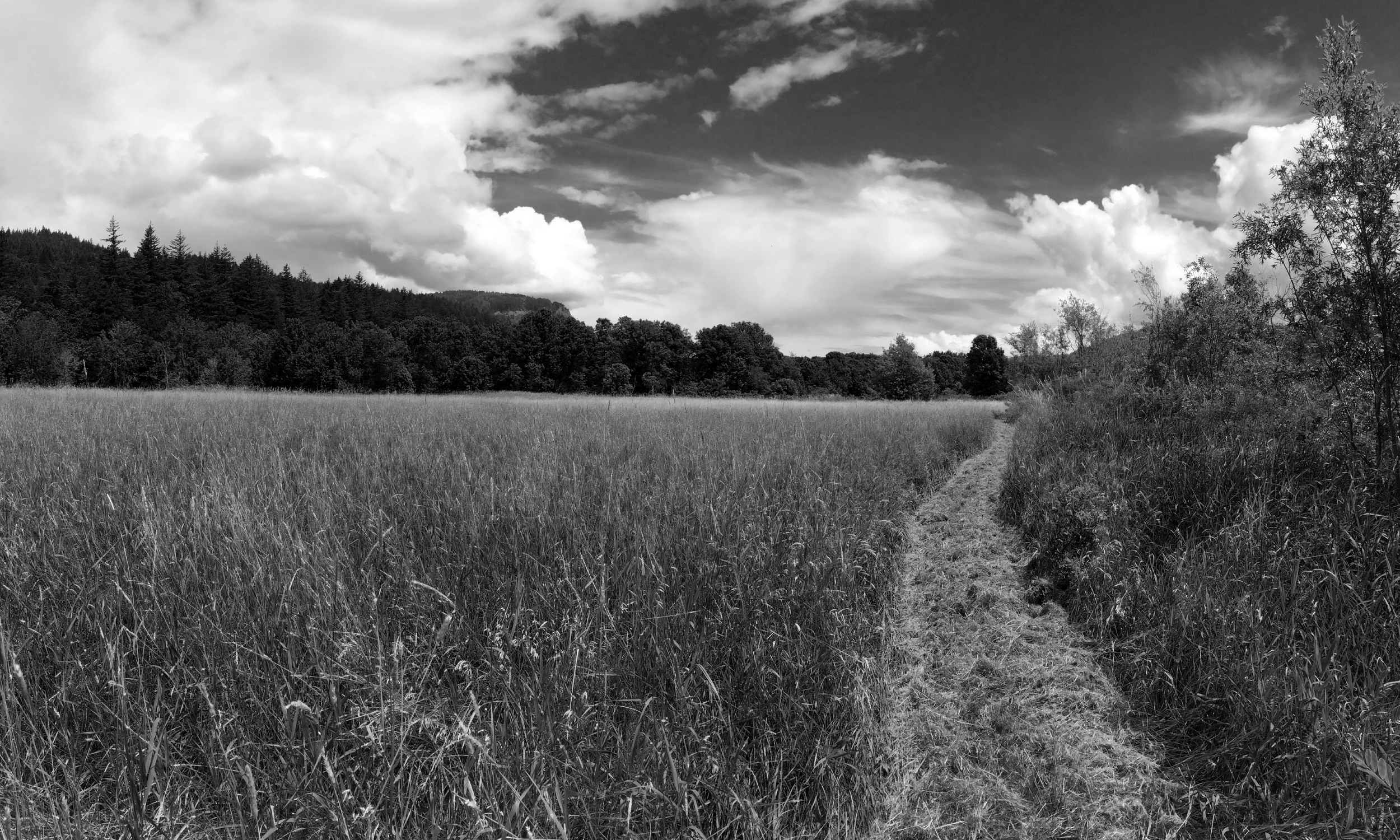 A Cultural Landscape Entrusted to the University of Oregon
