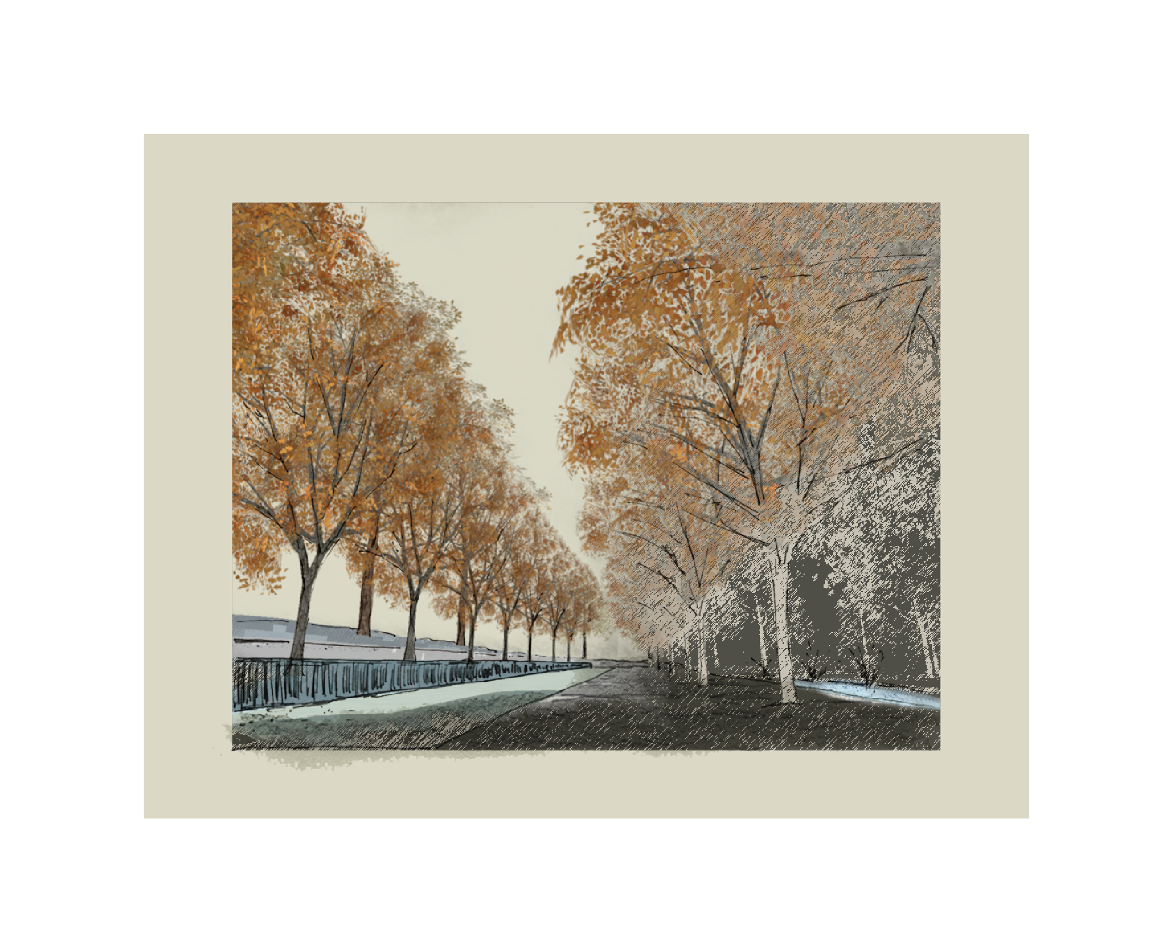 Ginkgo Allee