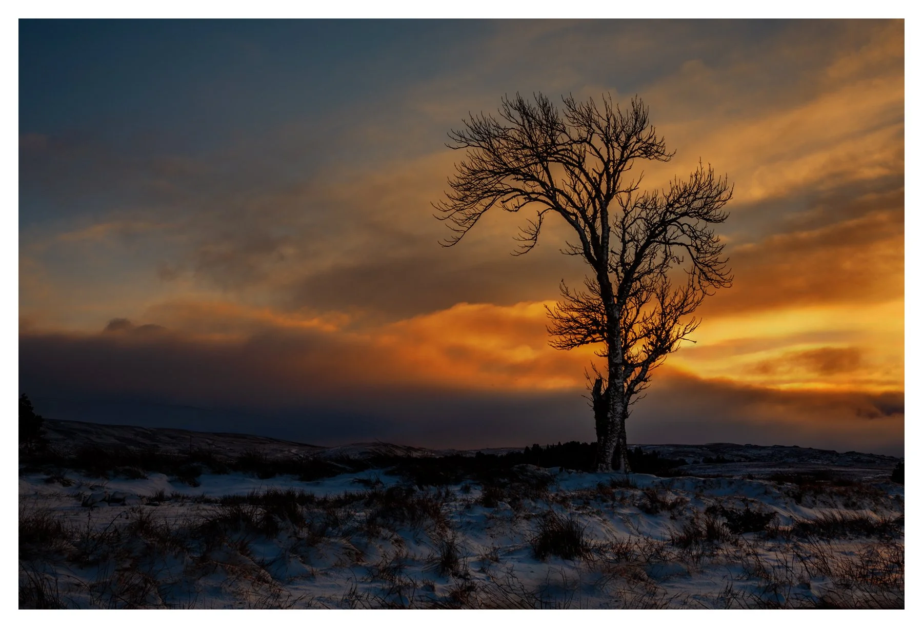 FROZEN FIRE