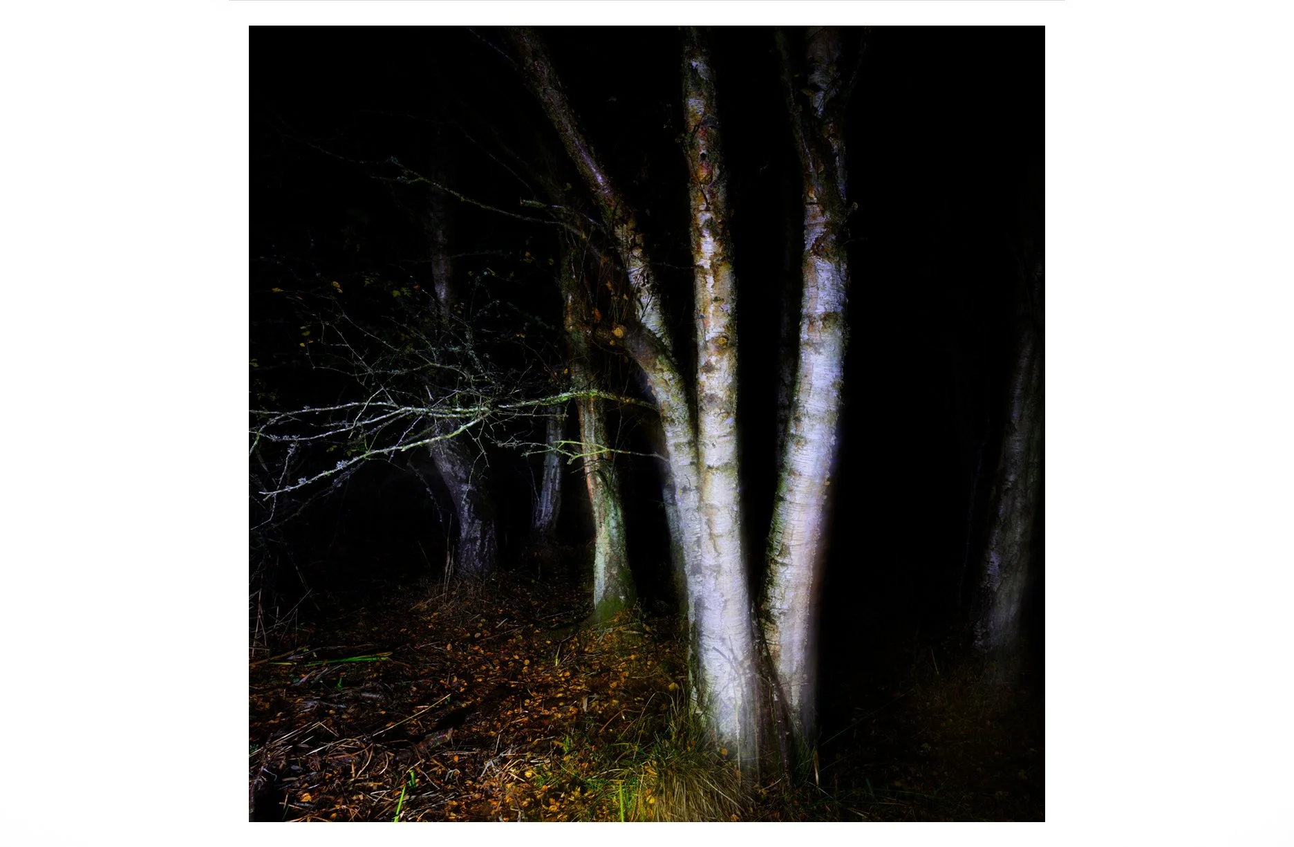 NIGHT SILVER